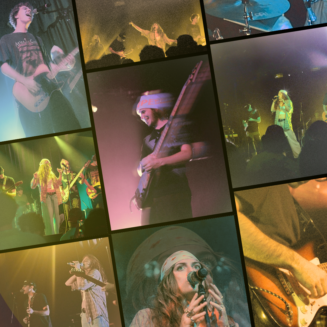 Collage of photos from a live music concert showing various performers including singers, guitarists, drummers, and musicians on stage, with audience members present.