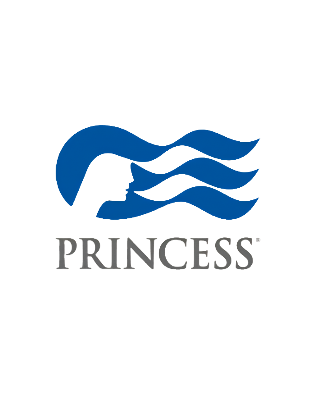 A logo with a stylized blue princess crown above the word "PRINCESS" in gray uppercase letters.