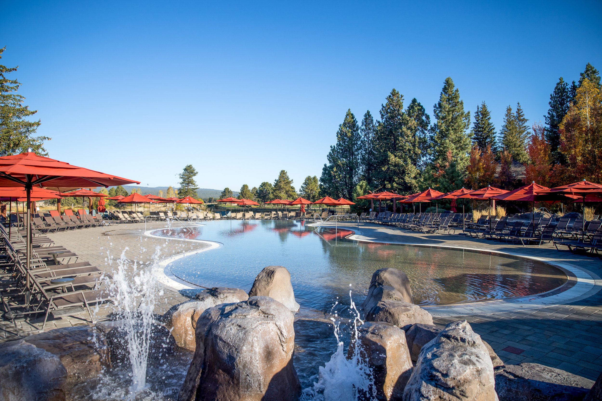 SRR_Cove_Fall 2022_Wicked_ARR_JX6A5158.jpg