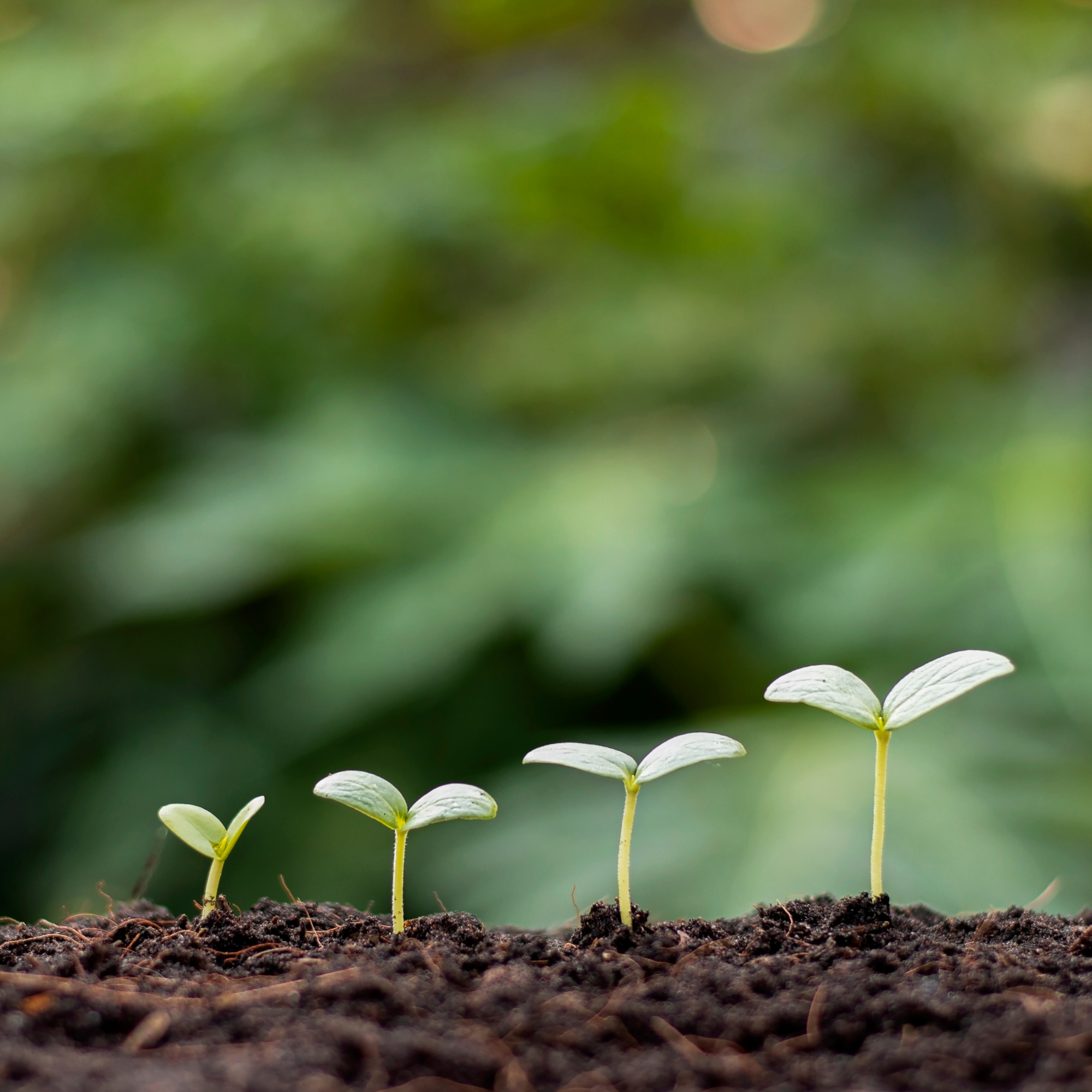 Building Generational Wealth