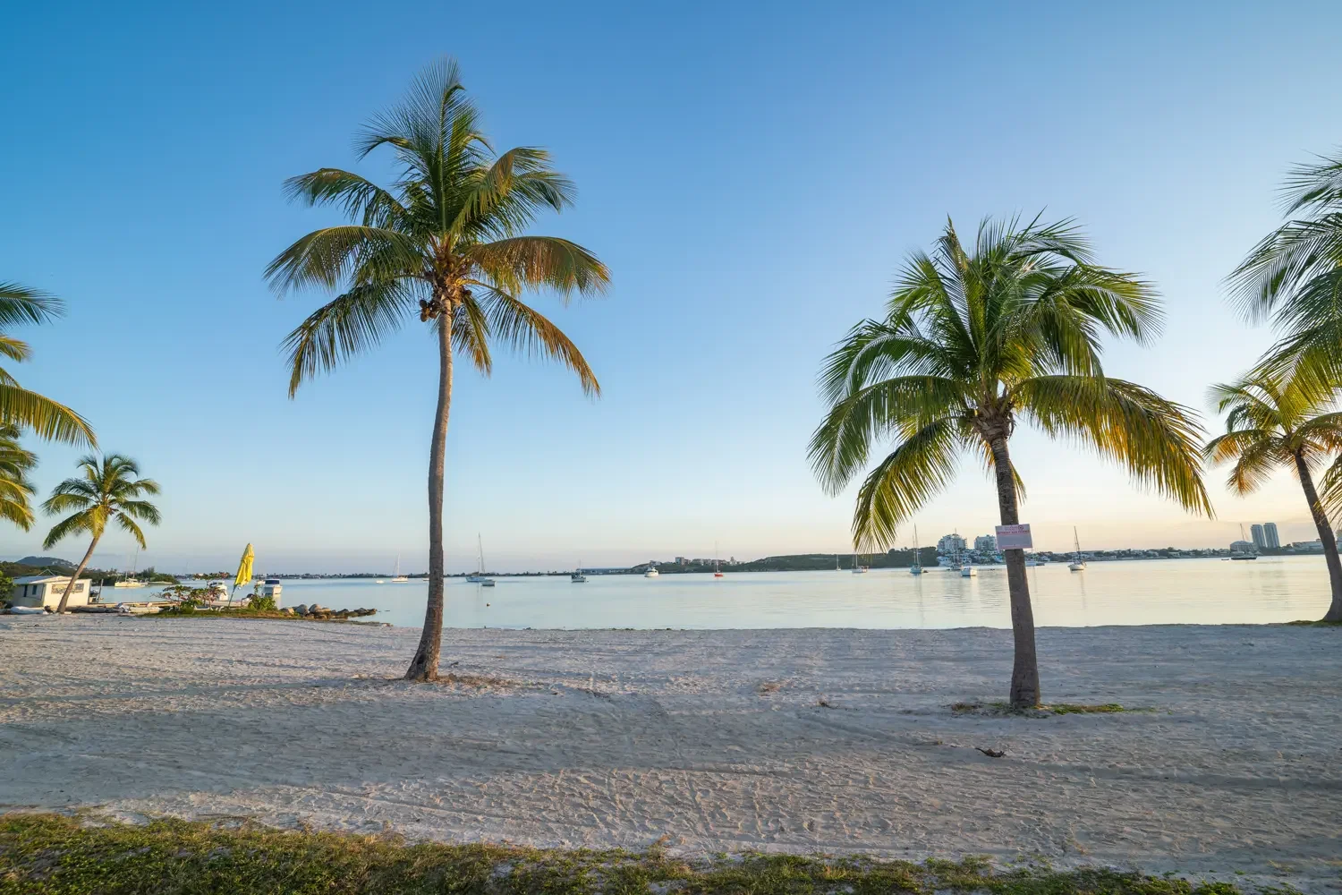 Andrew L. Brewer working on Tax Strategy with clients on beach in Florida.