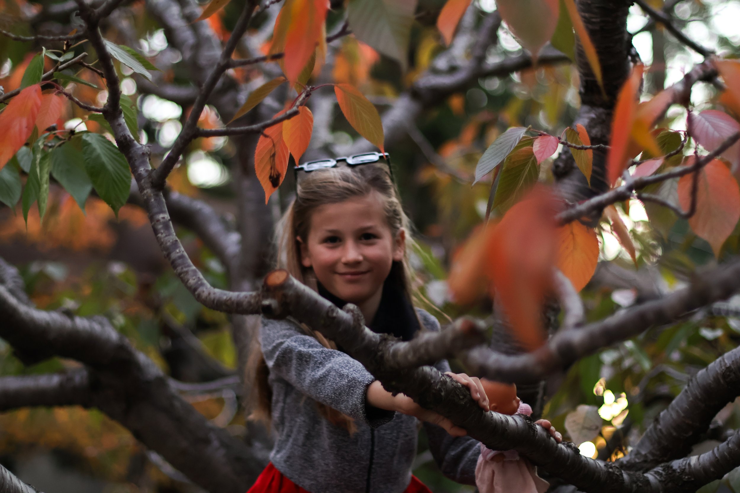 A young girl with glasses on her head climbing a tree surrounded by autumn leaves.