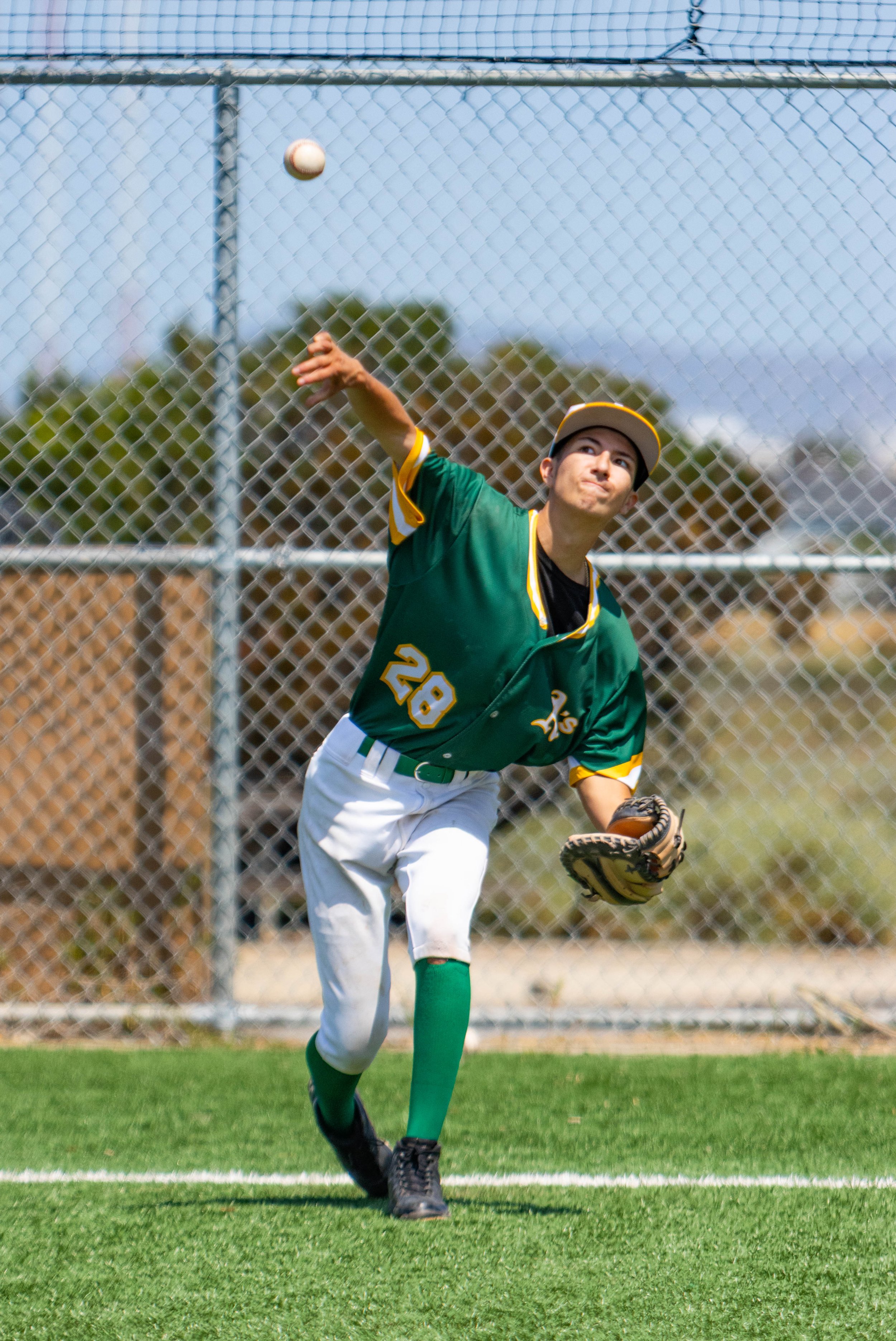 A young male baseball player in a green and yellow uniform is in a field, reaching up with his glove to catch a baseball. He is standing on green grass behind a chain-link fence with trees and a blue sky in the background.