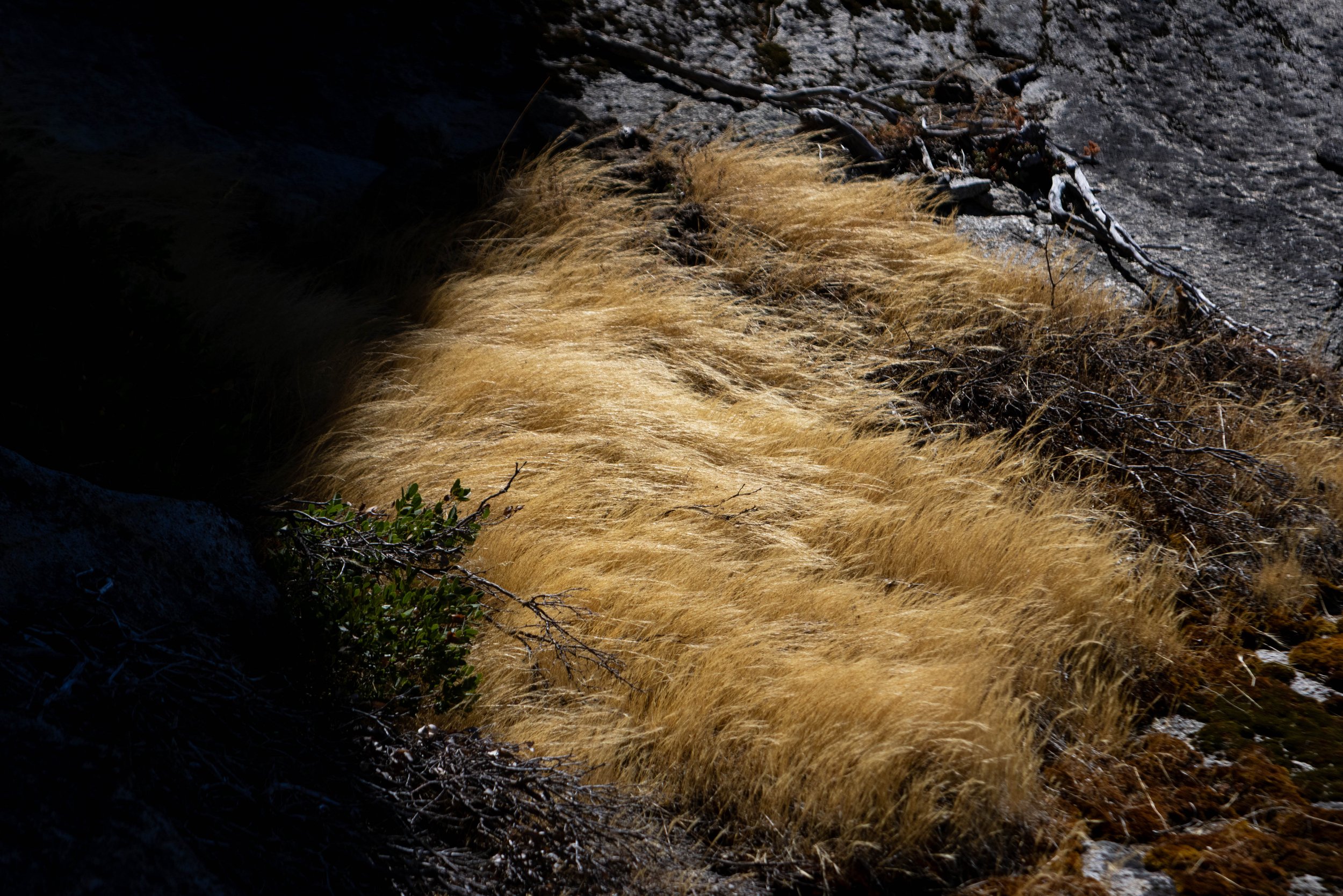 052A6719.jpg