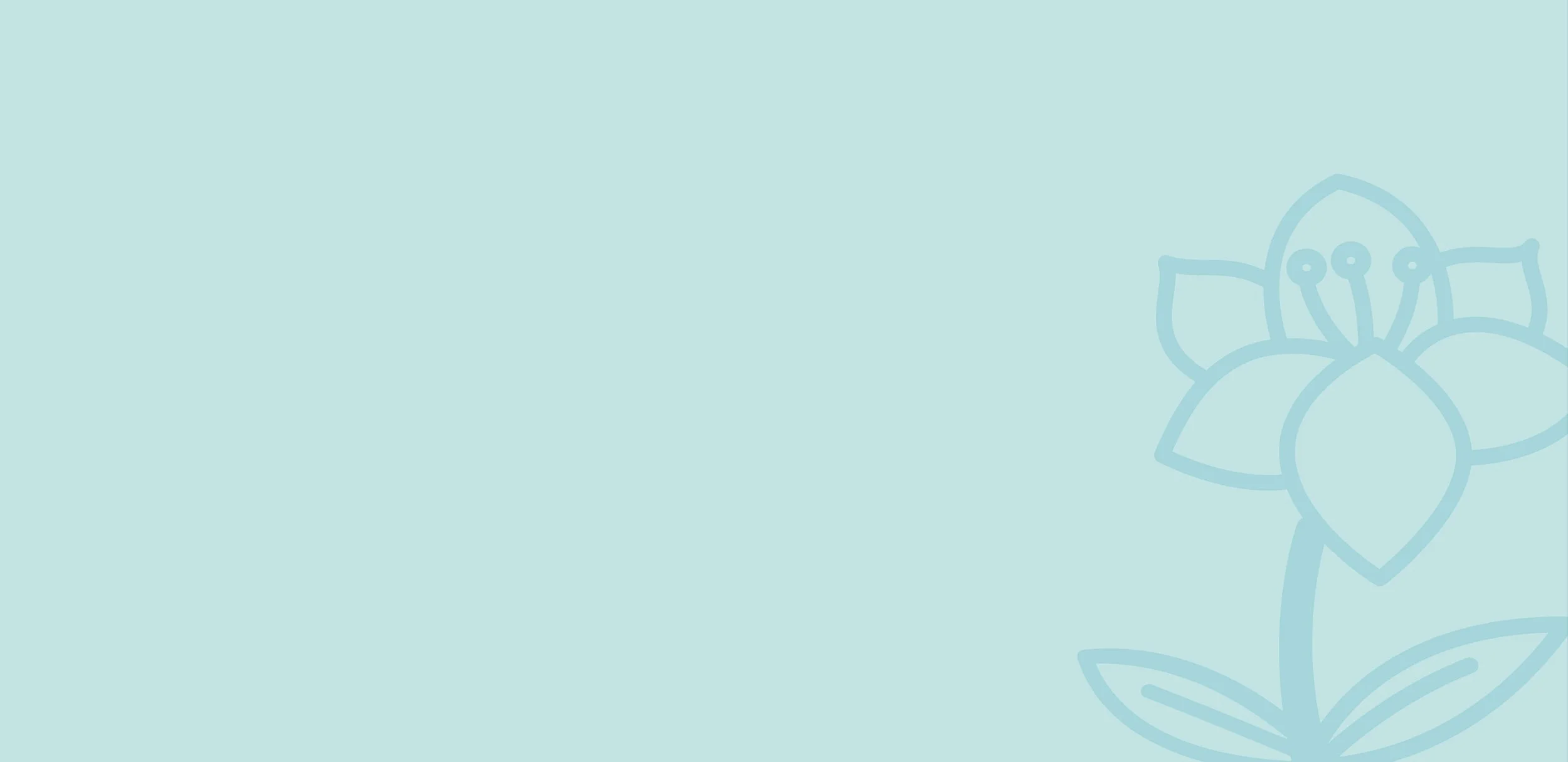 Palliative and End-of-Life Care for Carers — Peace of Mind Foundation