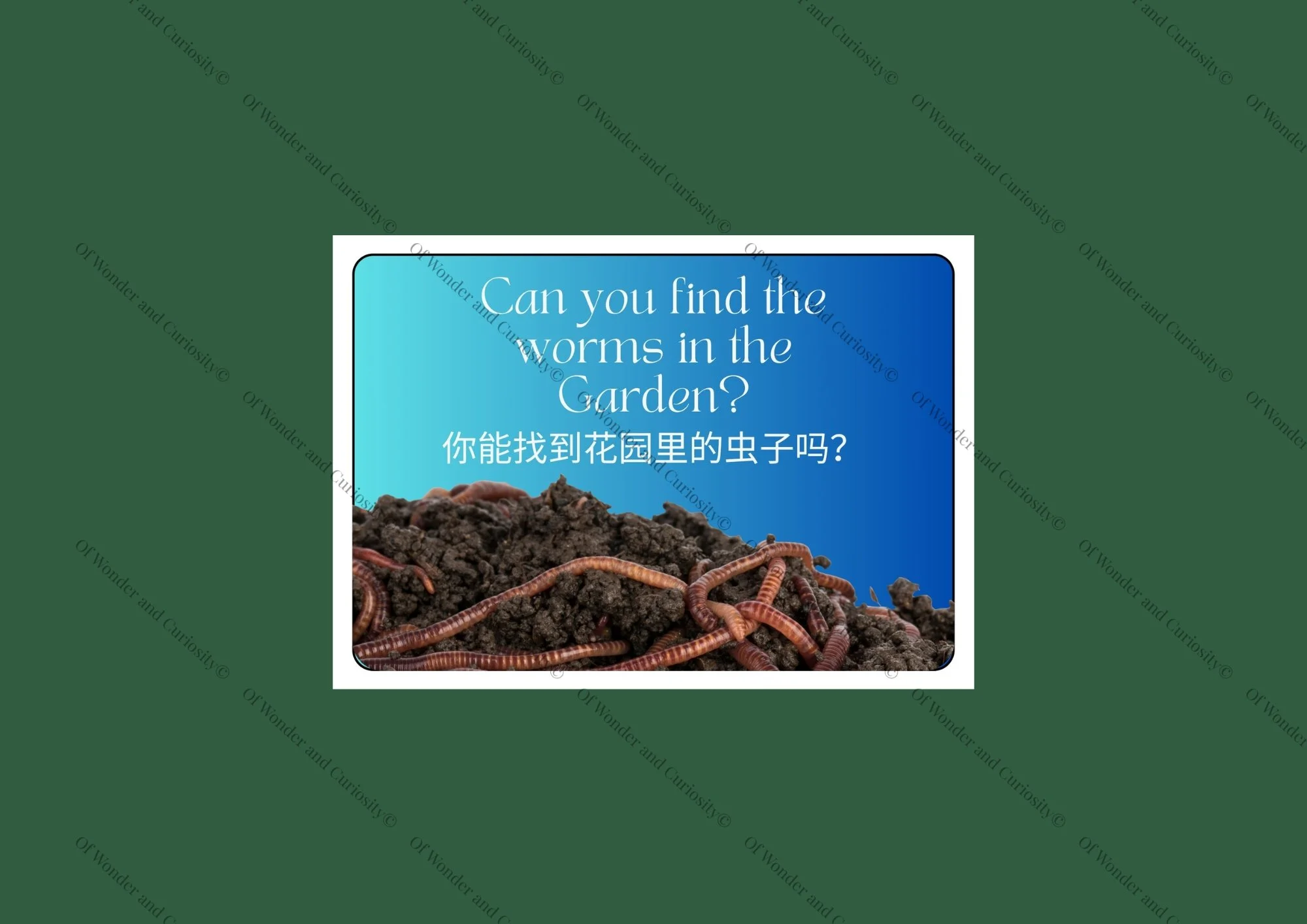 Curiosity Prompt – Worm Hunt (English & Mandarin)