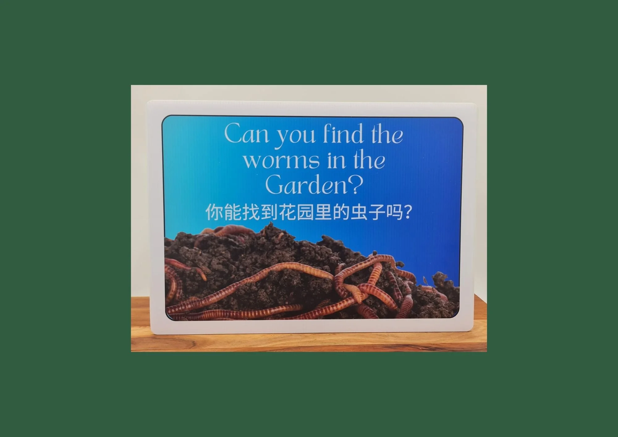 Curiosity Prompt – Worm Hunt (A3)