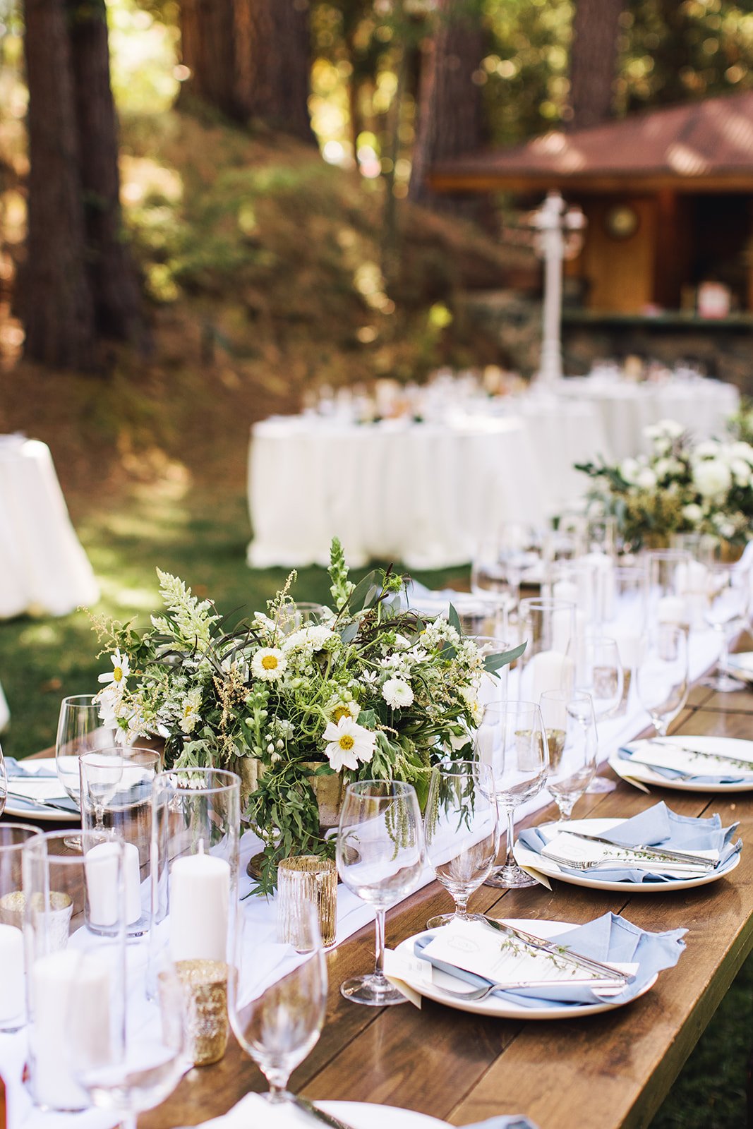 jamie-paul-grass-valley-wedding-ashley-carlascio-photography-0626.jpg