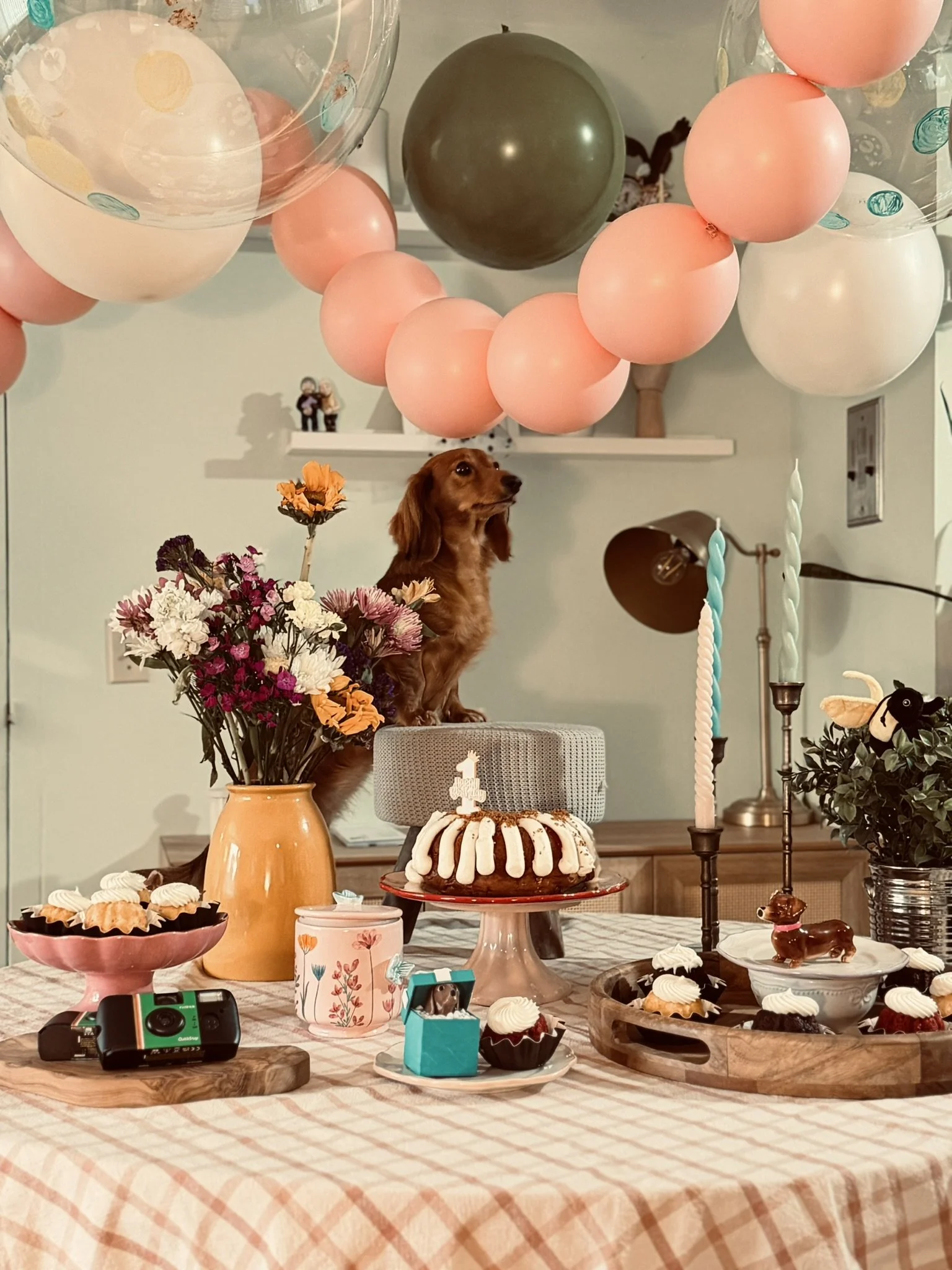 First birthday party decor for a dachshund with cake table, soft balloon styling, flowers, and custom details in Boston.