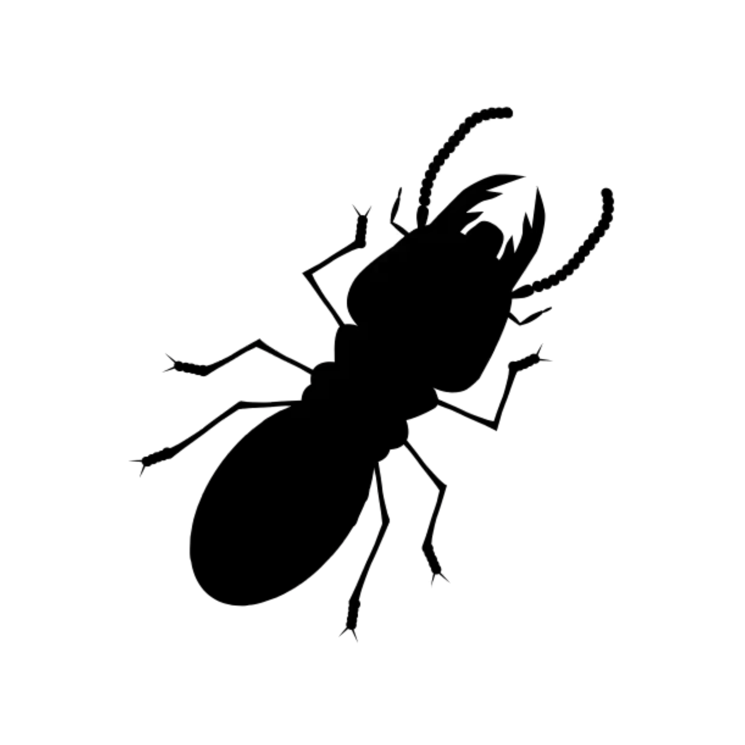 WDO 