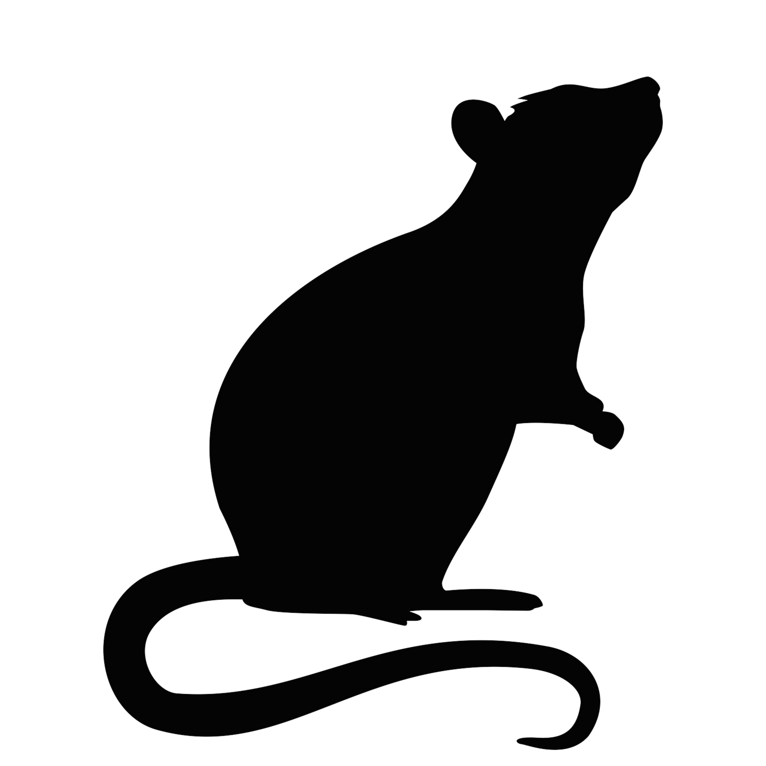Rodents