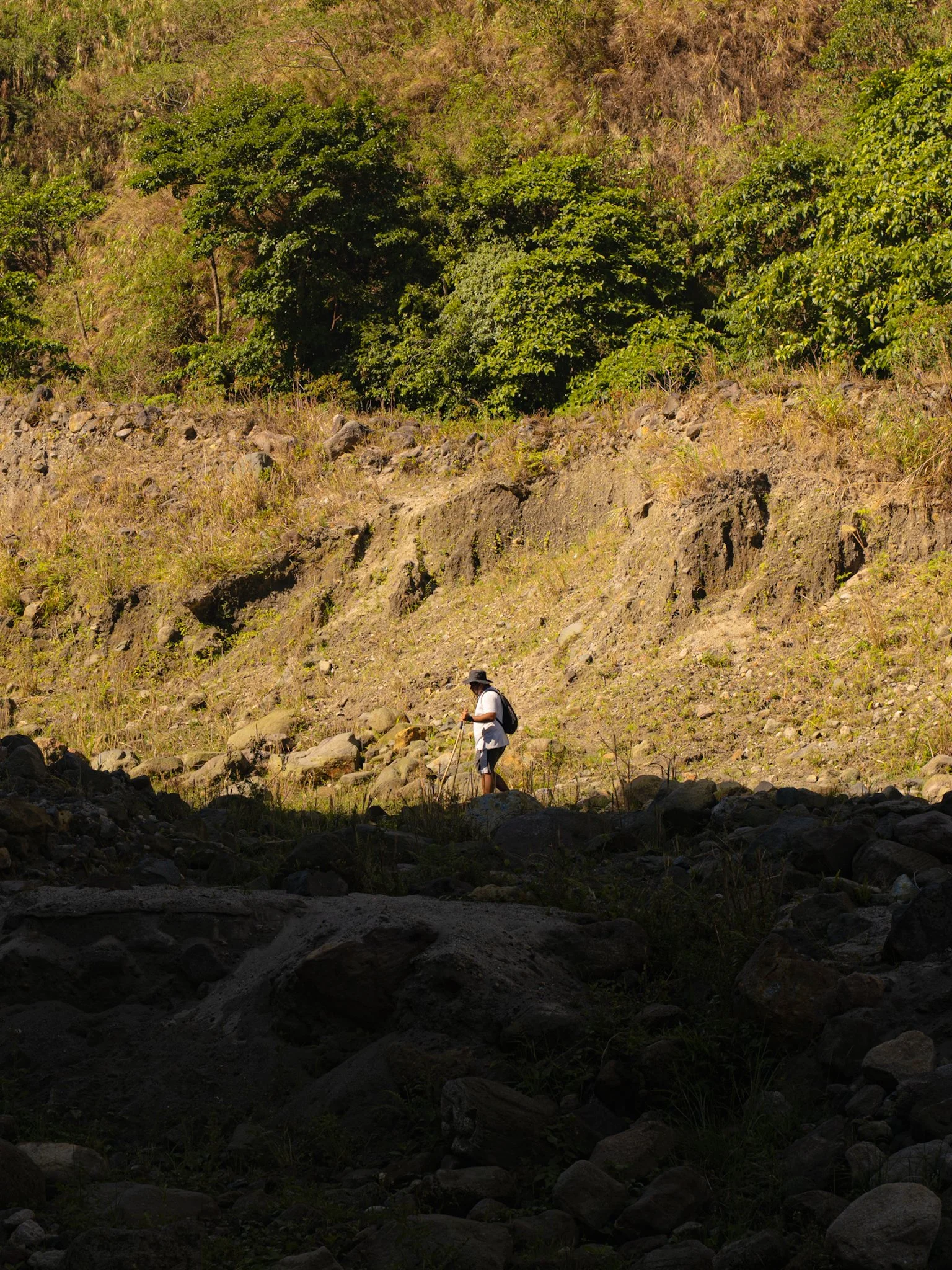 _DSC3528.JPG