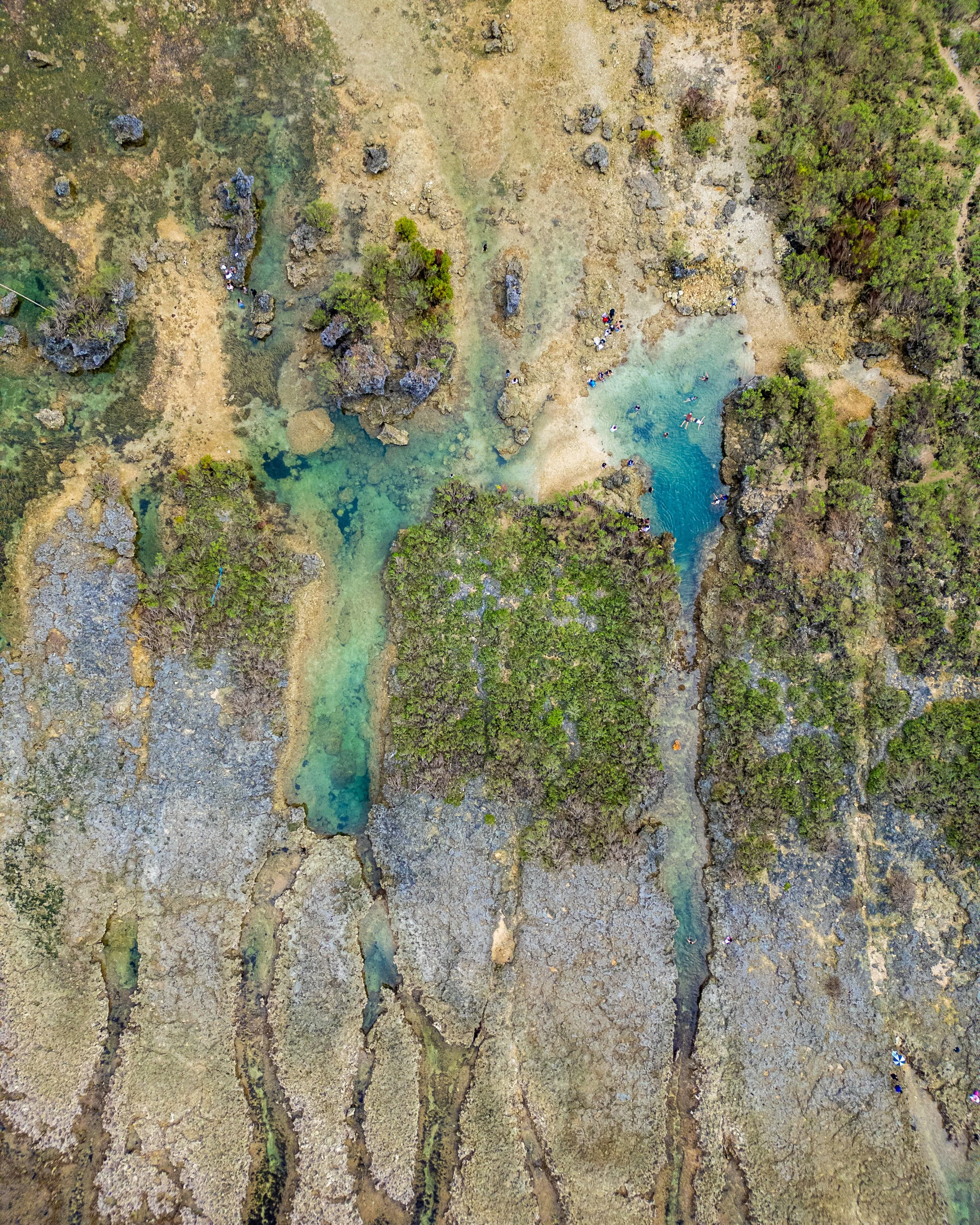 DJI_0666.jpg