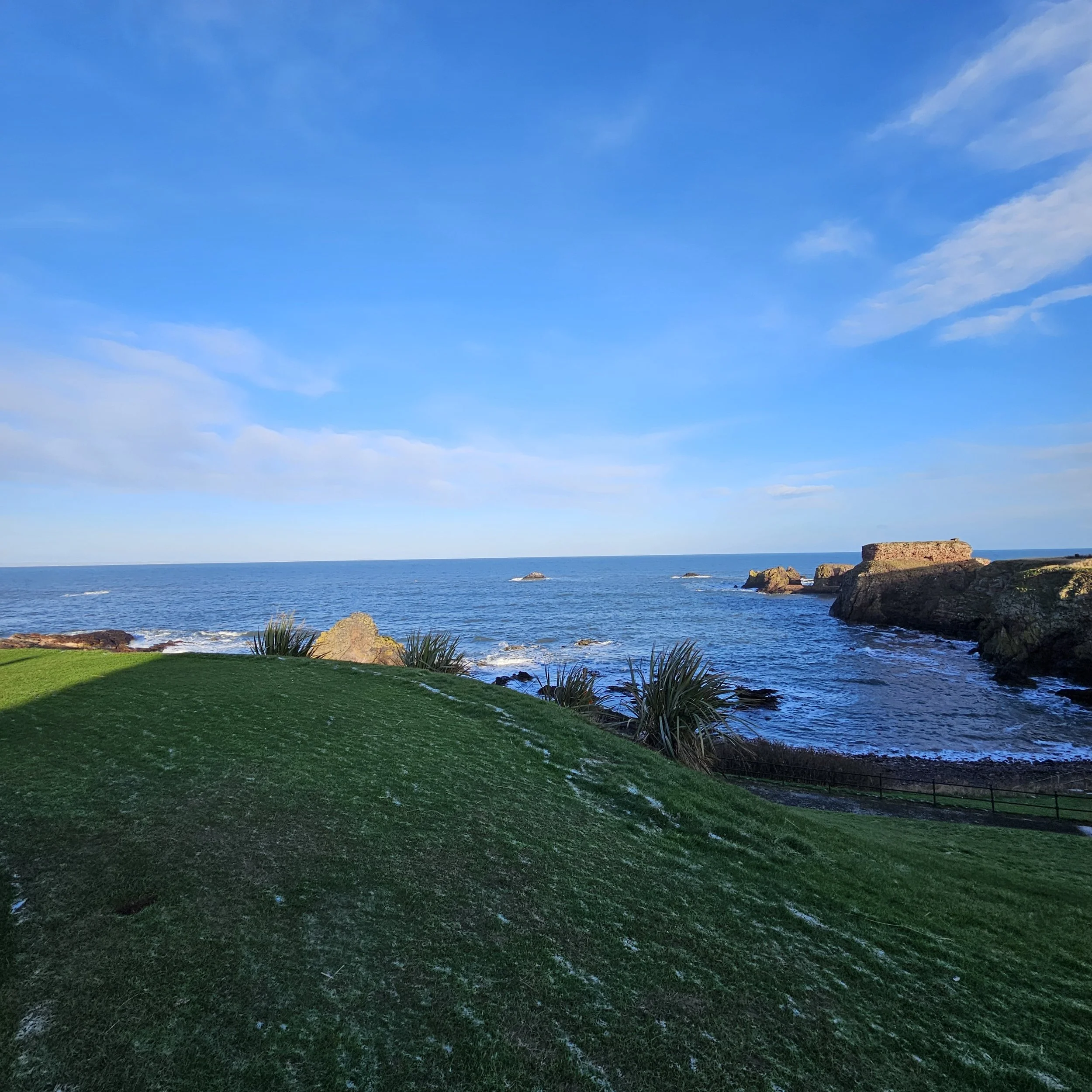 A view of a coastal landscape with green grass in the foreground, rocky shoreline, blue ocean, and a blue sky with a few clouds.