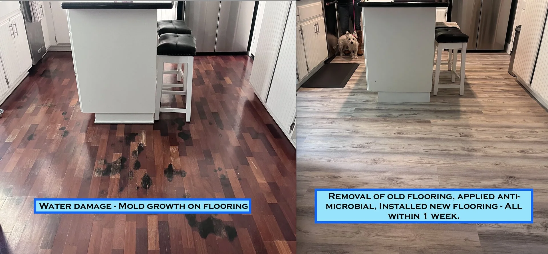 Side-by-side comparison of a kitchen floor before and after flooring replacement. The left side shows a dark wood floor with water damage and mold growth, while the right side shows a new light-colored wood floor with a dog and a person in the backgr