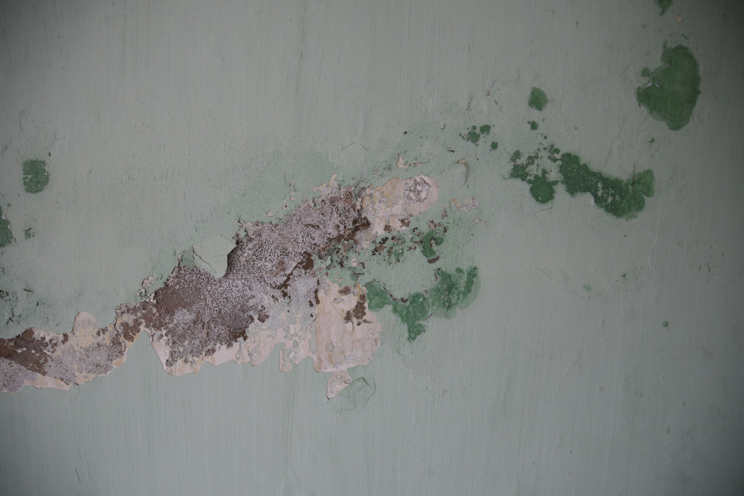 From Damage to Beautiful: What Happens During the Reconstruction Phase After Water, Fire, or Mold Damage?