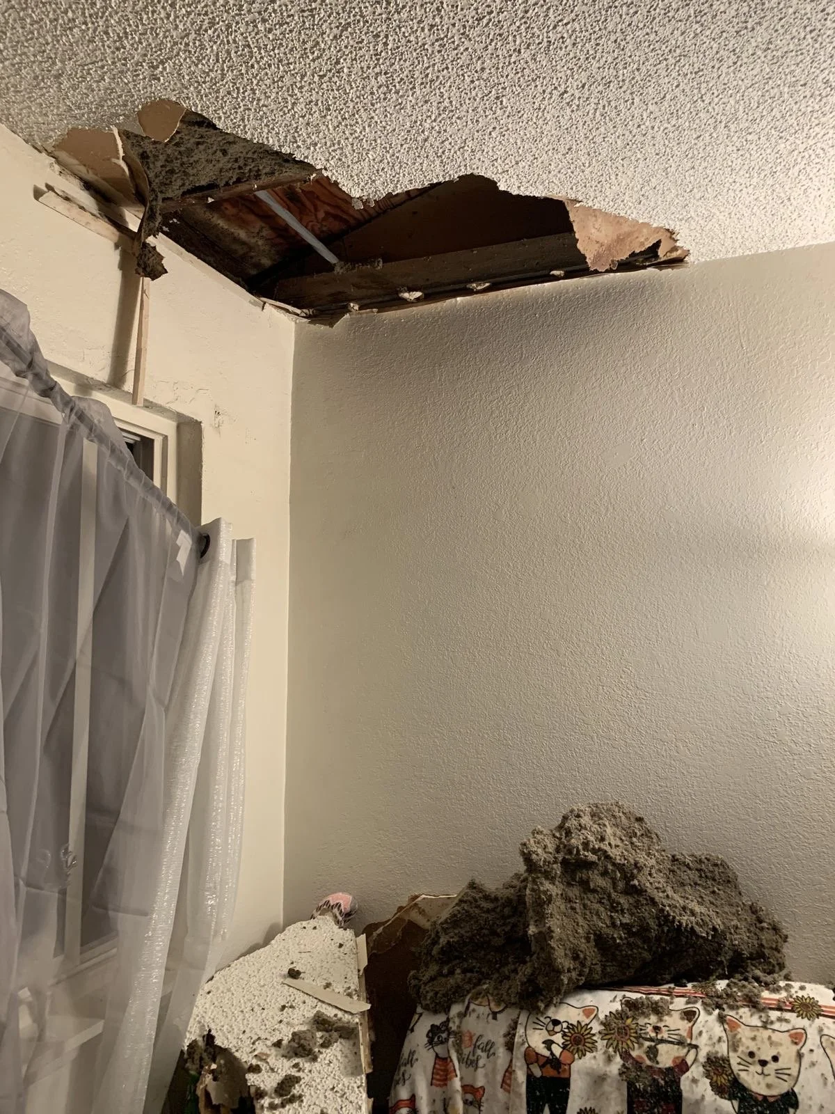 Ceiling with large hole exposing wooden beams and insulation, cluttered room with cloth-covered furniture, piles of debris and insulation on the floor and furniture.
