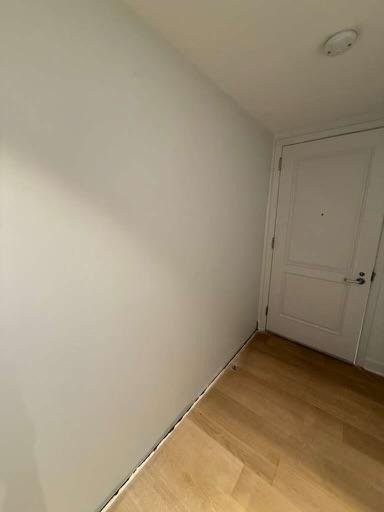 Empty corner of a room with a white door and hardwood floor.