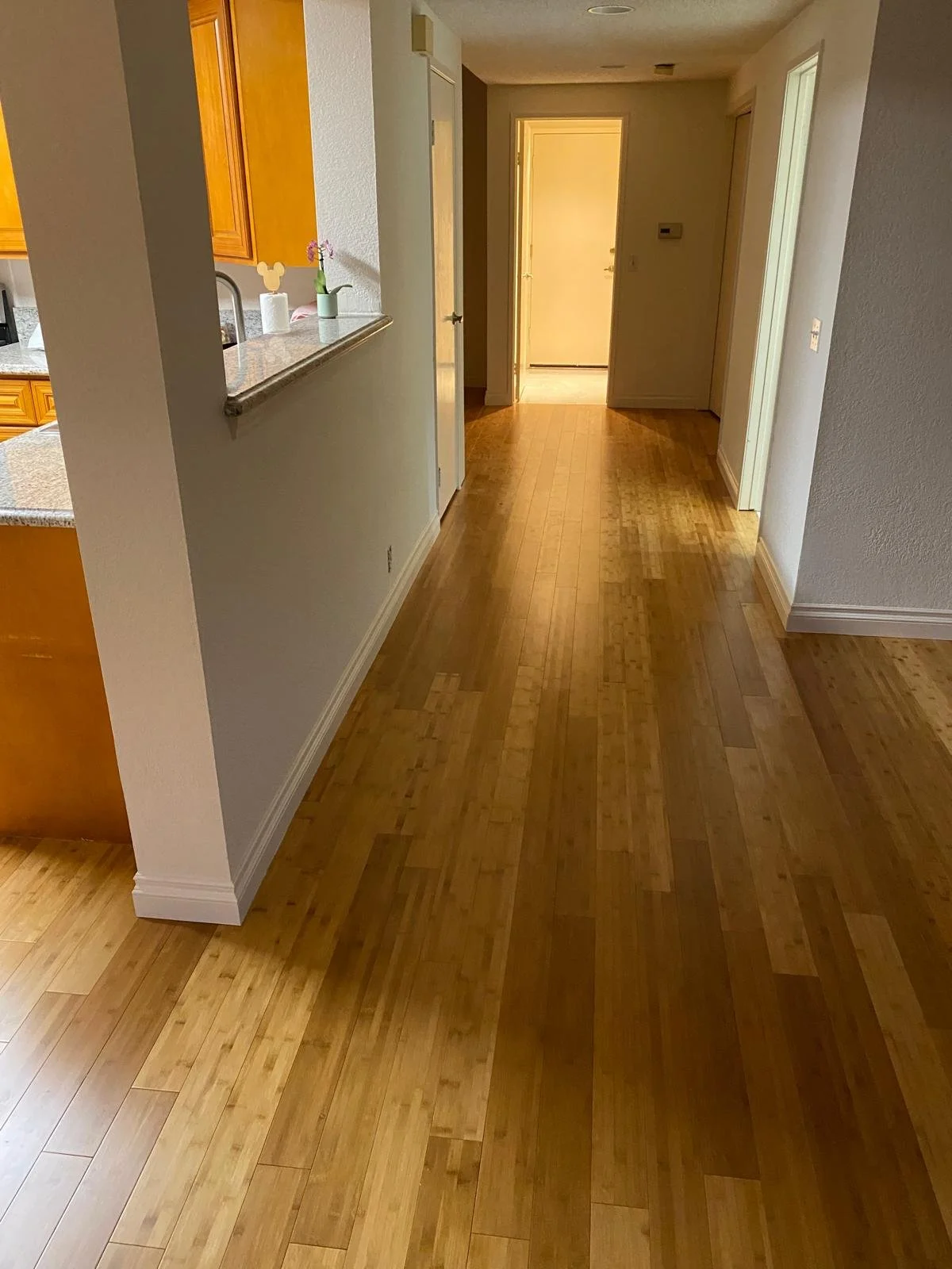 Own hardwood flooring in a hallway leading to a doorway in a house.