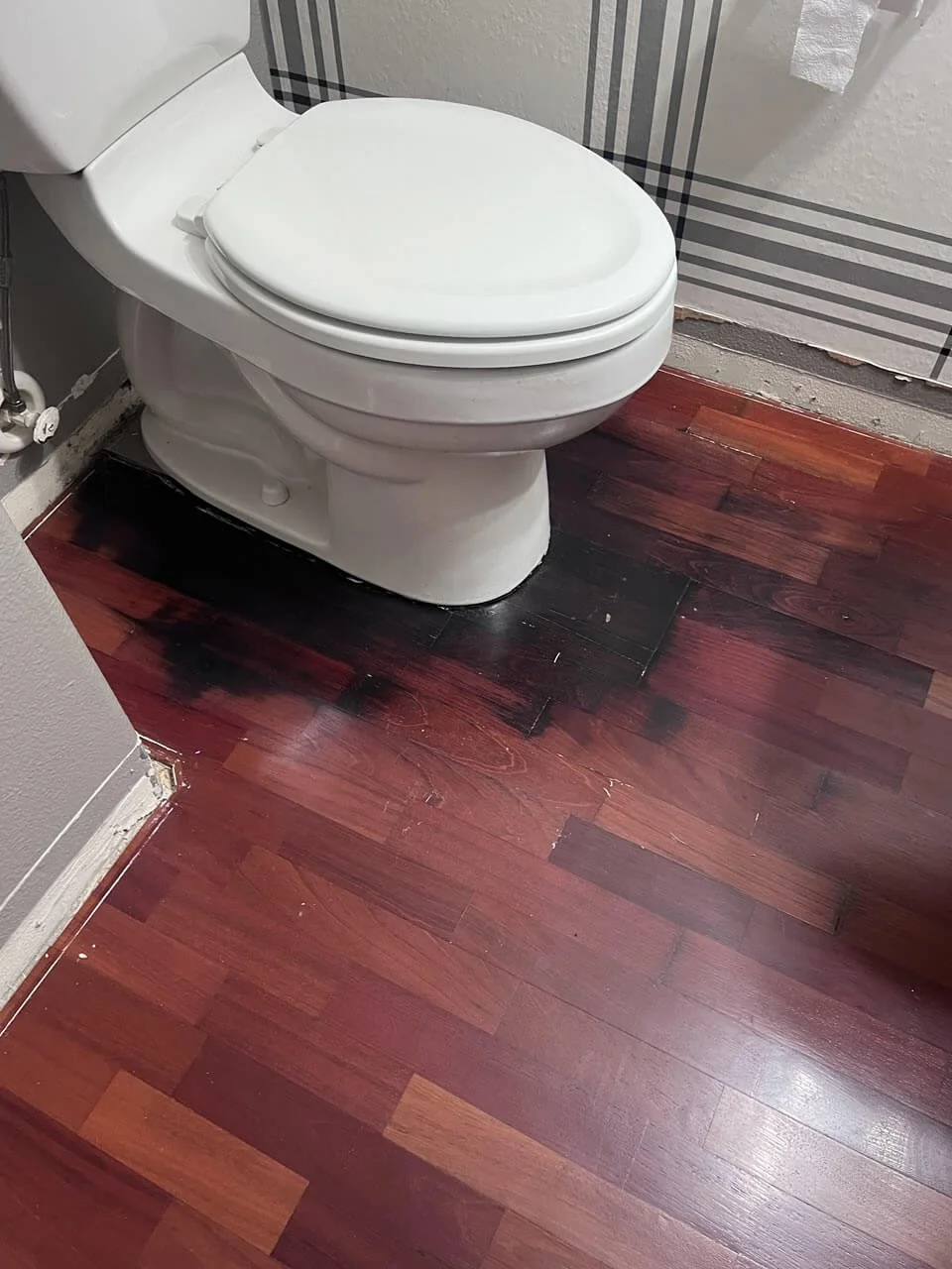 A white toilet with a closed lid in a bathroom, next to a wall with a partially visible decorative pattern, and dark reddish-brown wooden flooring with some blackened patches.