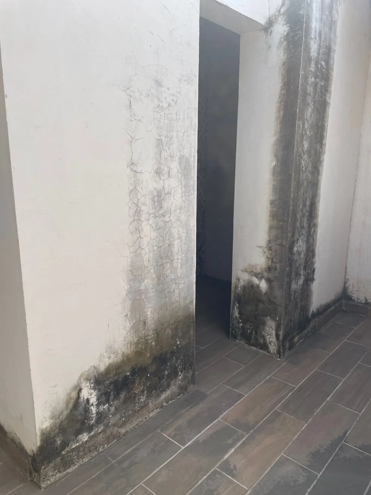 Bathroom wall with mold and water damage near the floor, with peeling paint and black stains, adjacent to tiled flooring.
