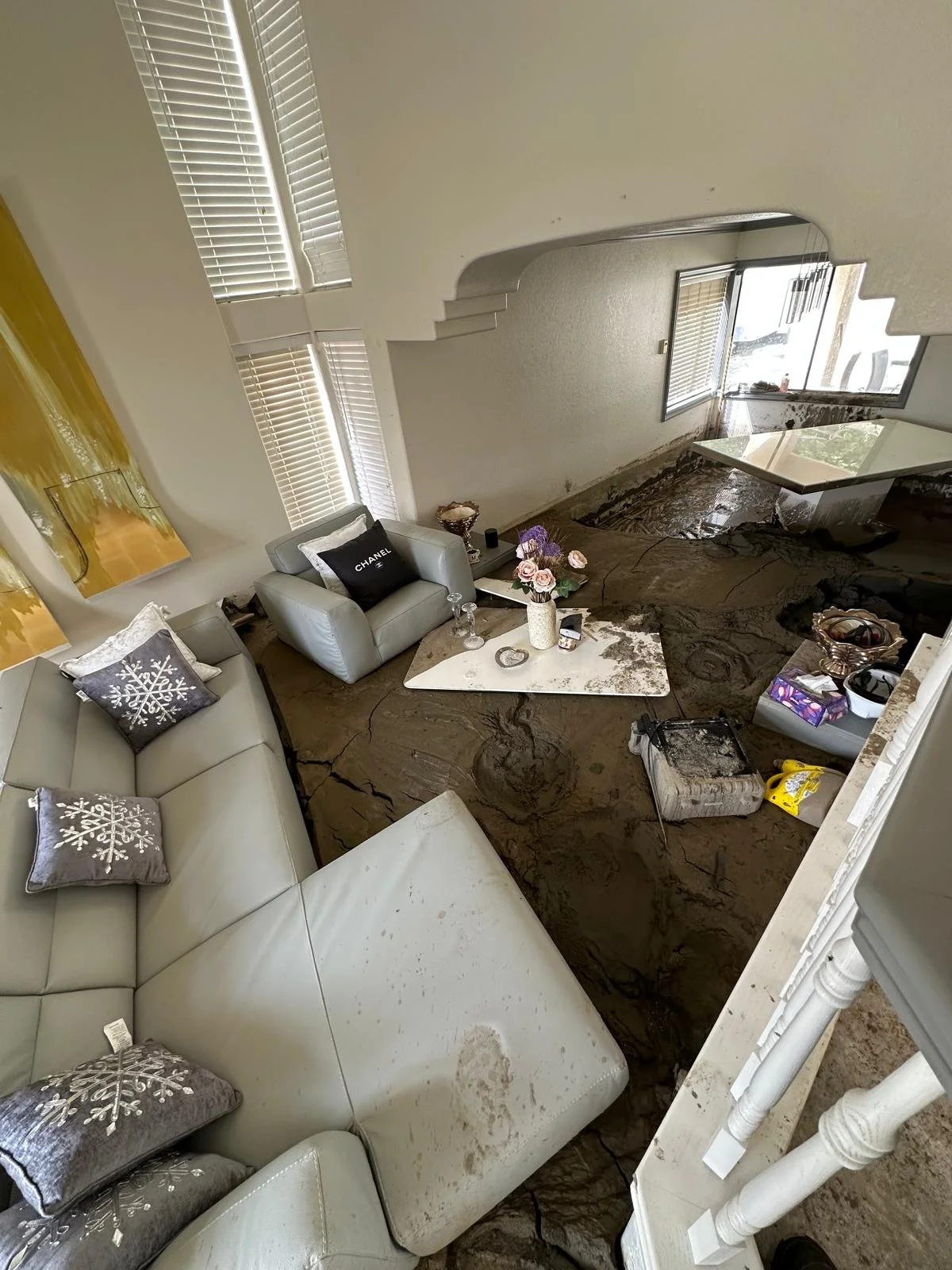 Living room with water damage and flooding, showing furniture, pillows, and decorative items, with visible water and mud on the floor.