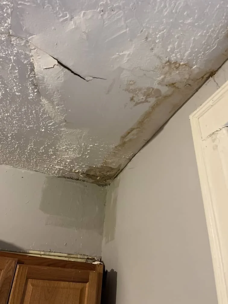 Ceiling with water damage, cracks, and mold near the corner where the ceiling meets the wall, with part of a wooden cabinet visible.