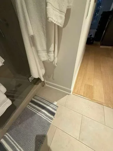 A corner of a bathroom or closet area showing a shower door, a towel hanging on a hook, a striped rug, and part of a wooden floor.