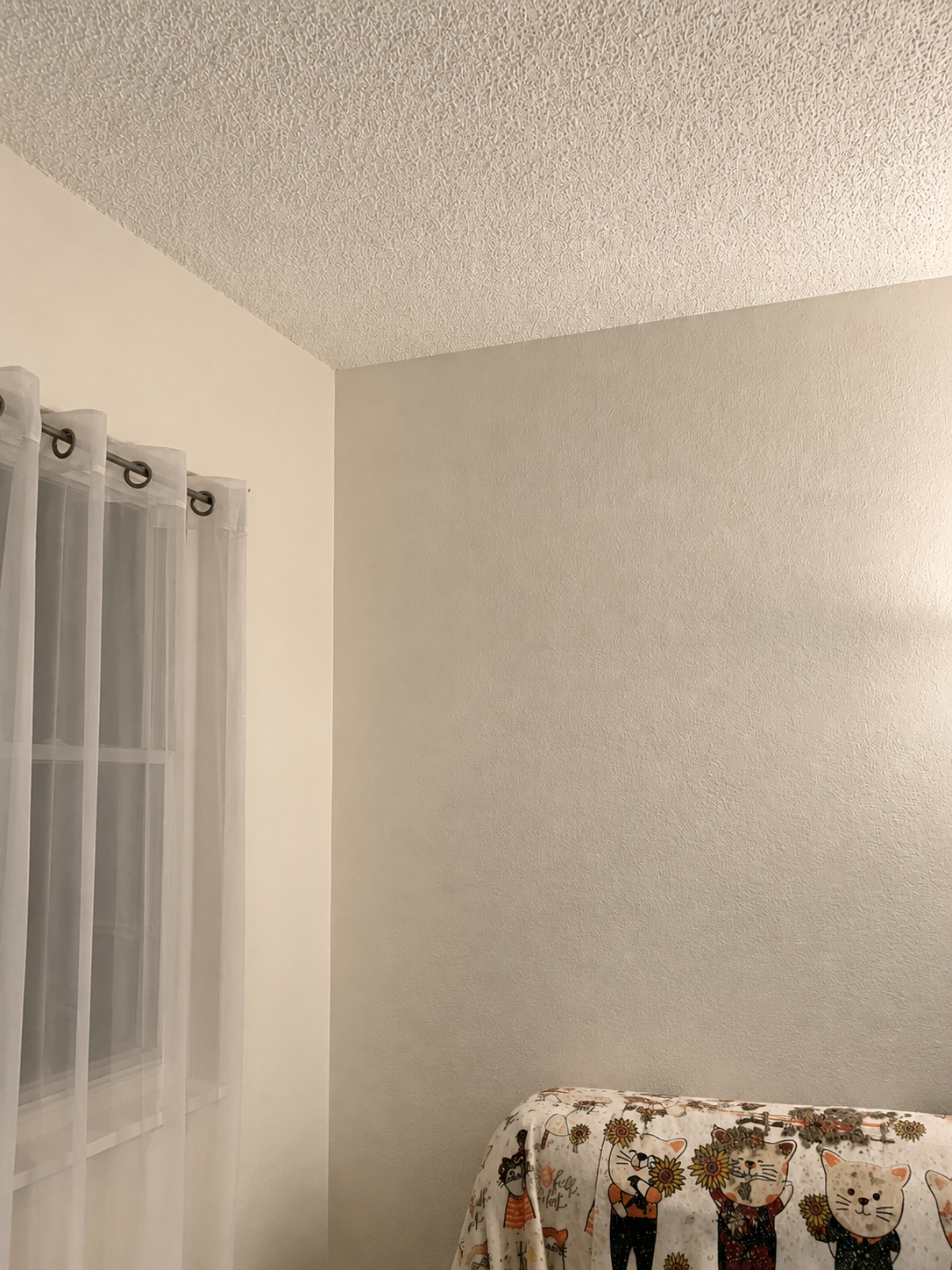 Corner of a room showing a textured ceiling, beige wall, a window with sheer white curtains, and a piece of furniture partially covered with a colorful cloth featuring cats and sunflowers.