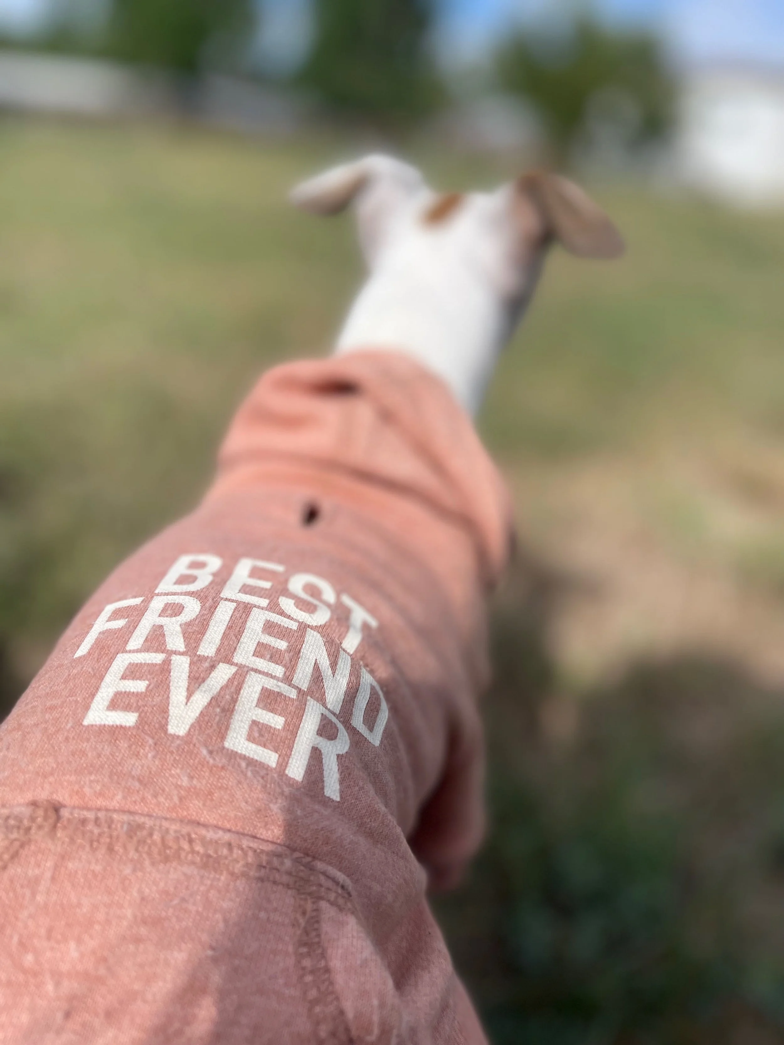 Close-up of a person's orange sweatshirt with white text reading 'BECAUSE EVERY'. The person is holding a small dog with a white and brown coat, seen from behind, with a blurred green outdoor background.