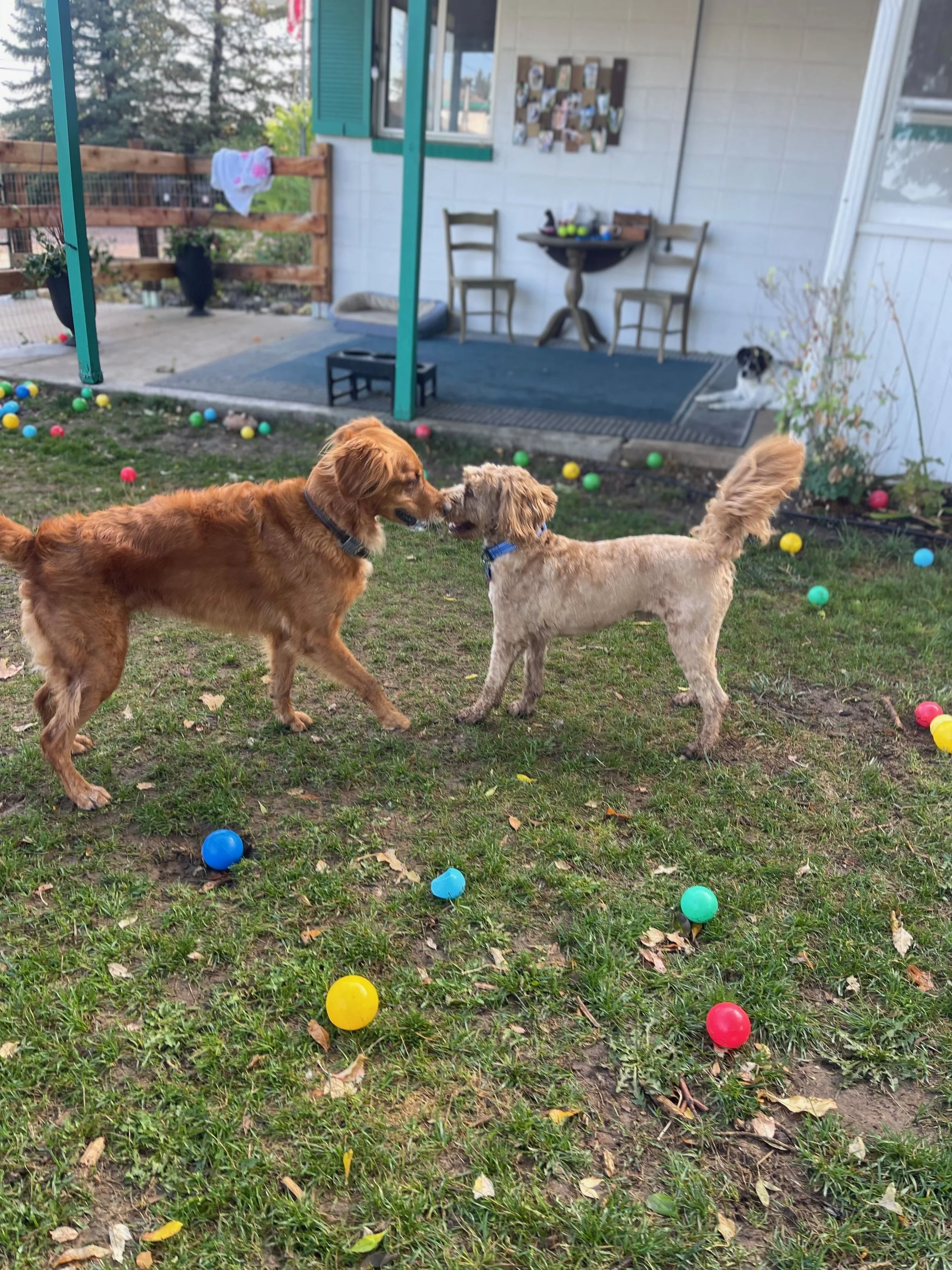 Daycare