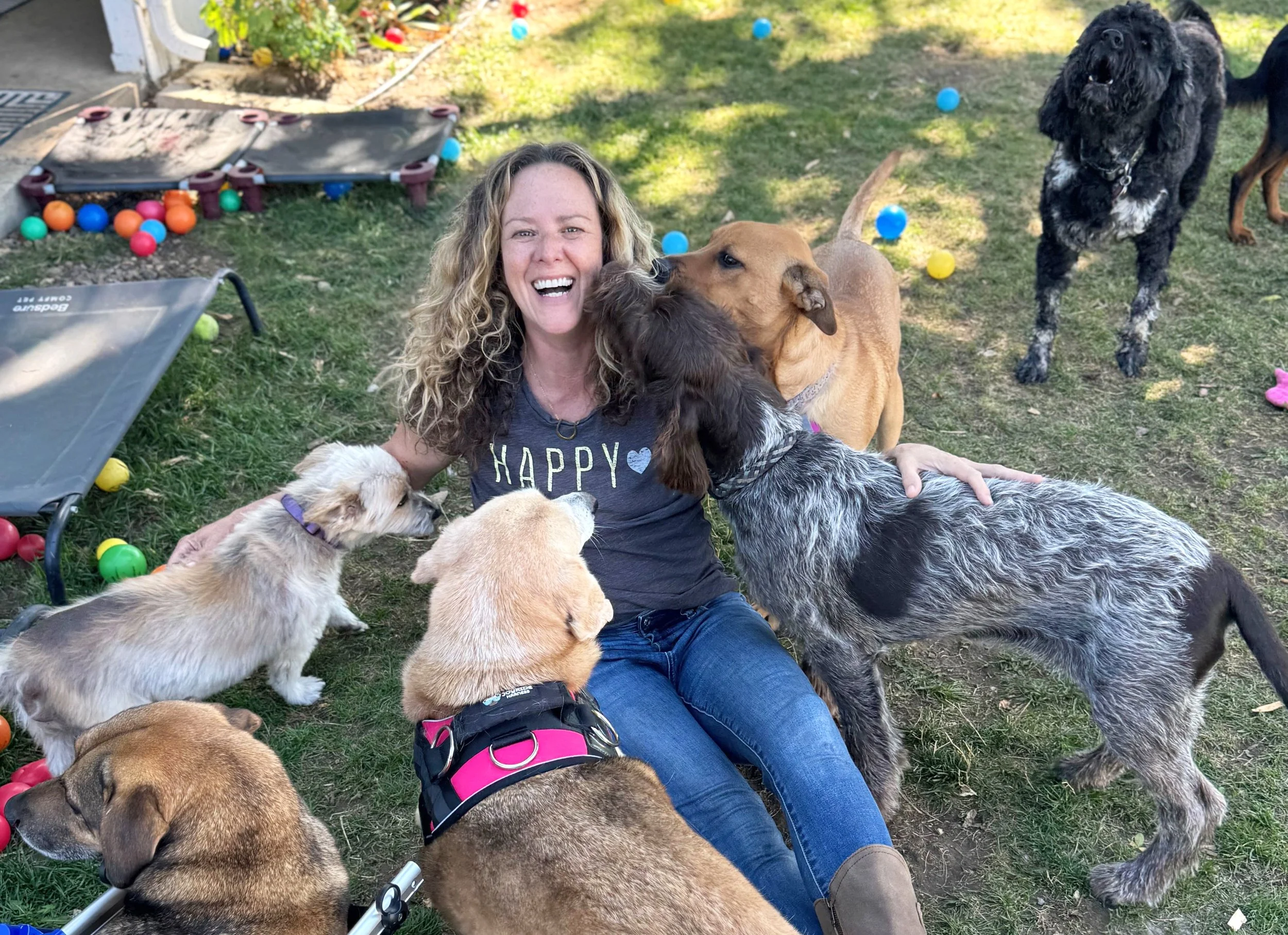 A woman with curly blonde hair smiling as she sits on grass in a yard surrounded by multiple dogs of different breeds and sizes, with colorful balls scattered around.