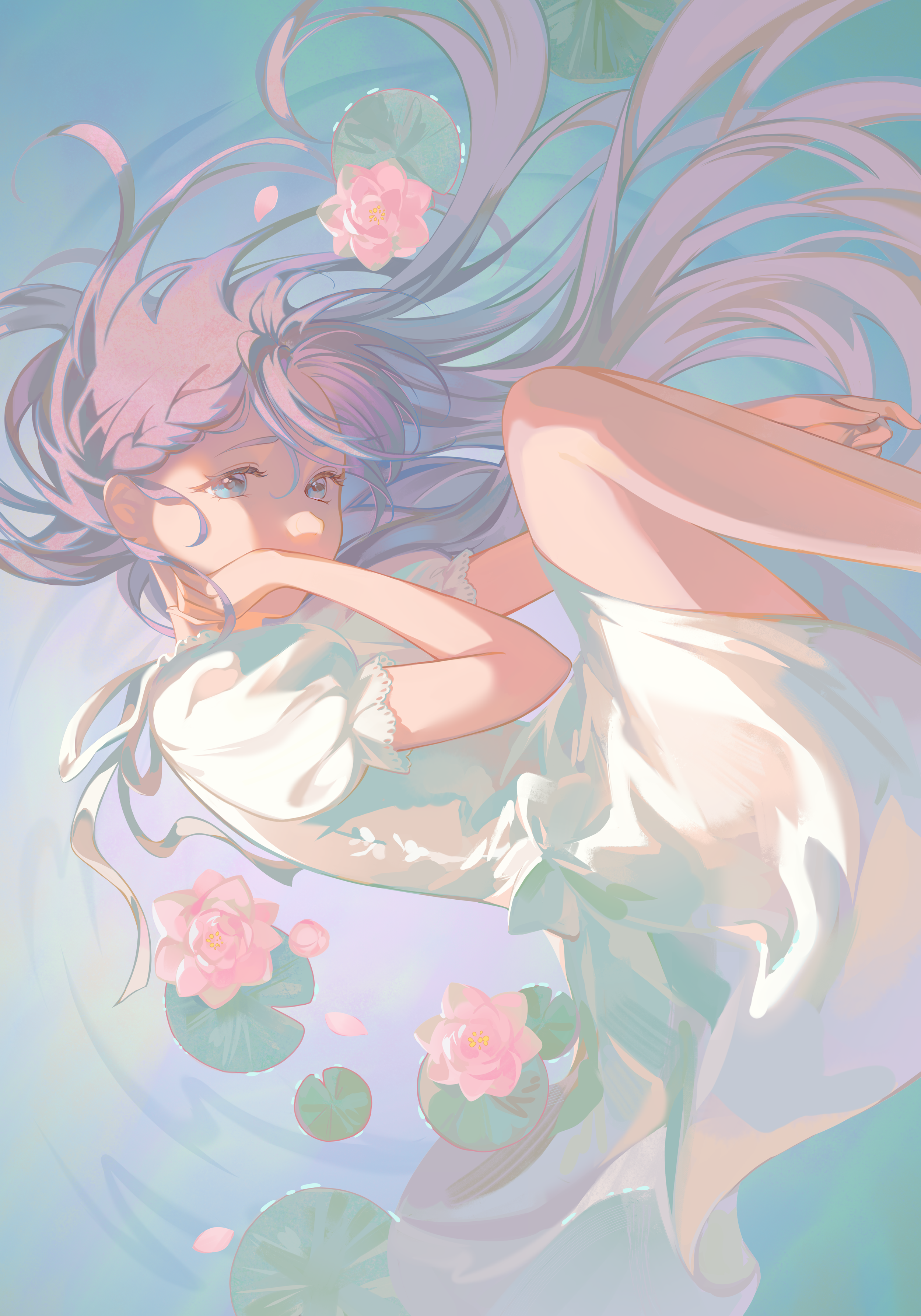 Suiren.png