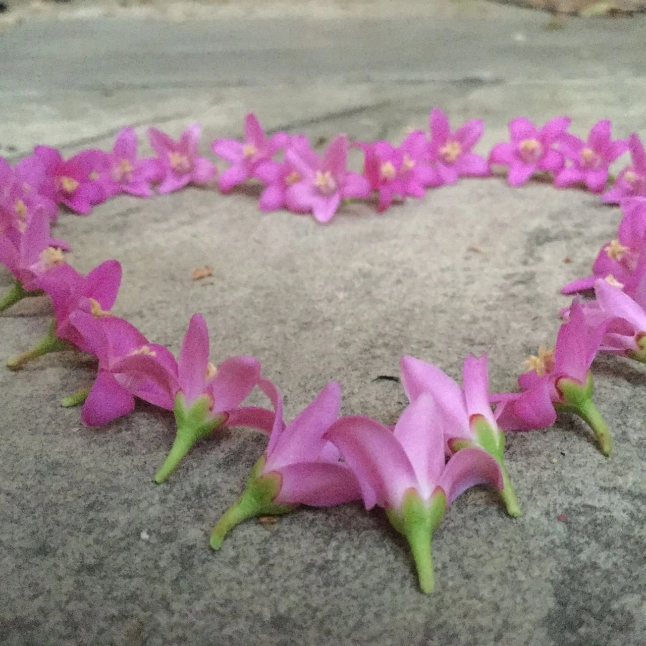 The Leadership Edge We Forgot: Why Kindness Still Matters