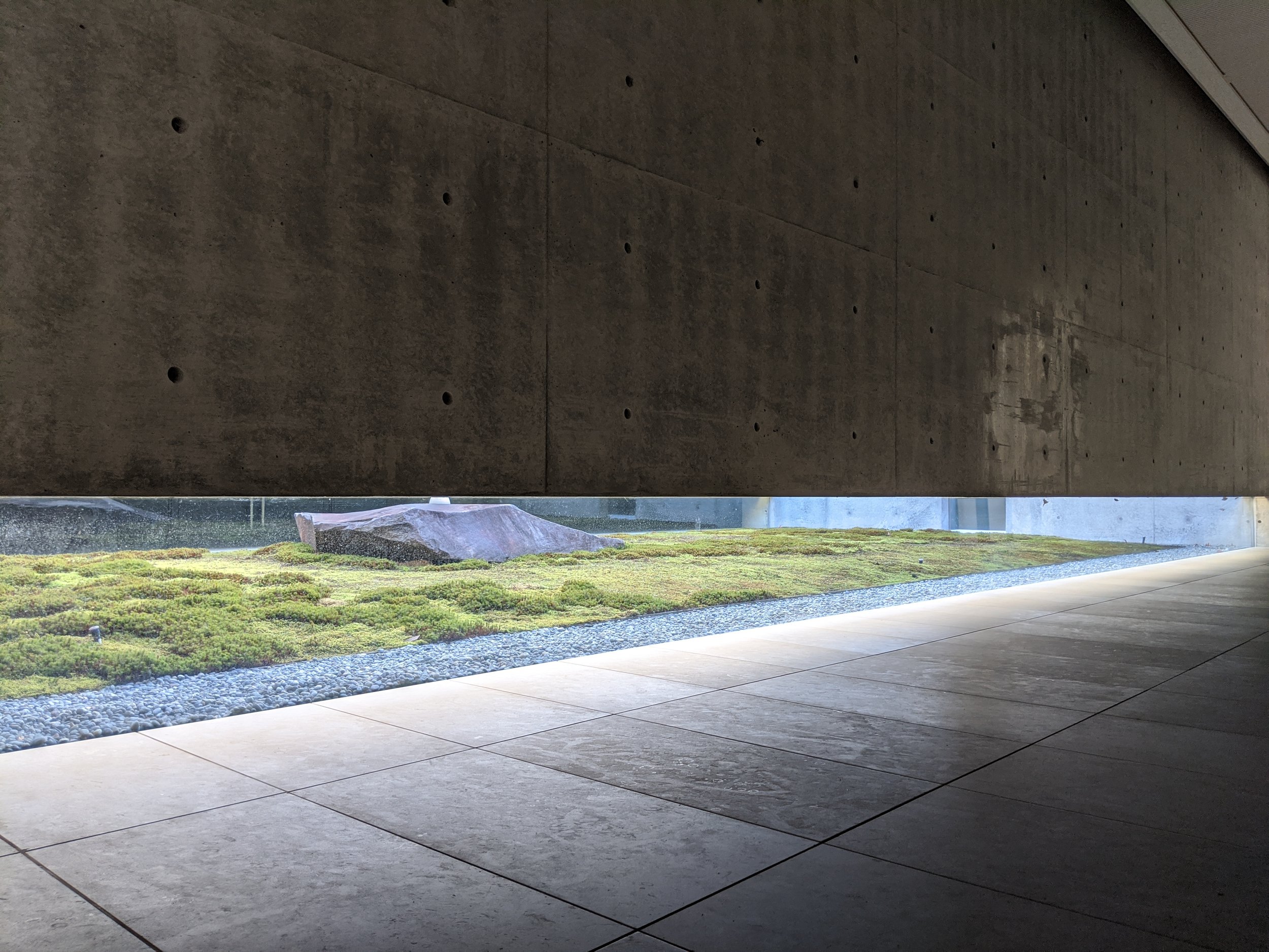 Modern interior with concrete wall, a niche filled with green moss and rocks, and a glass window providing natural light.