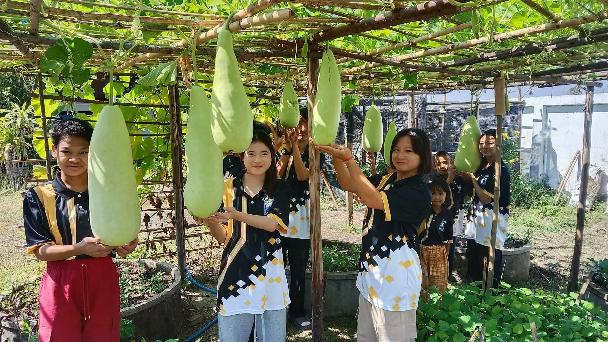 Group of children and teenagers standing in a garden with large, hanging gourd plants, some holding the gourds.