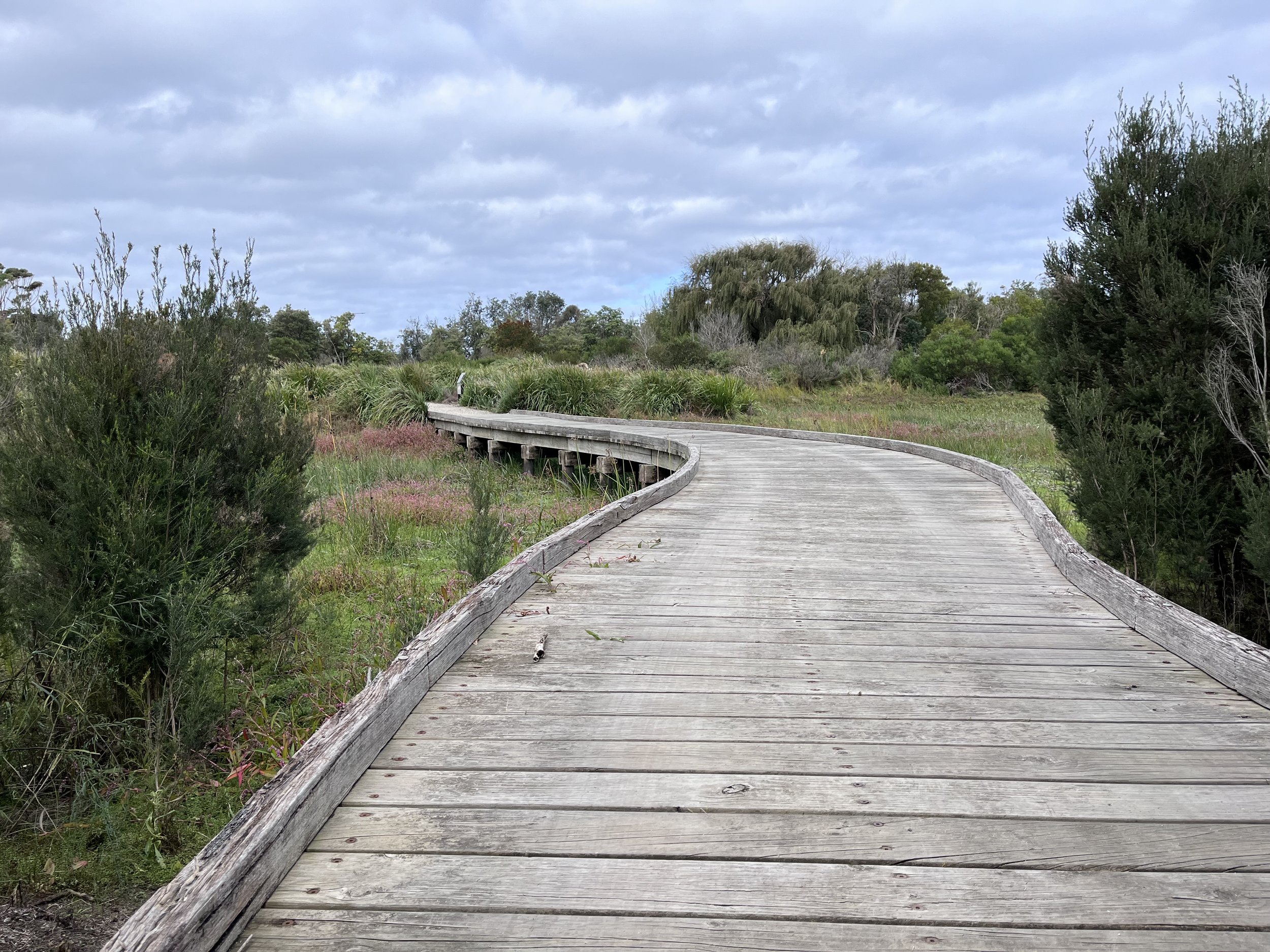 A wooden boardwalk winding through a lush green wetland or nature preserve, with trees and bushes on either side and a cloudy sky above.