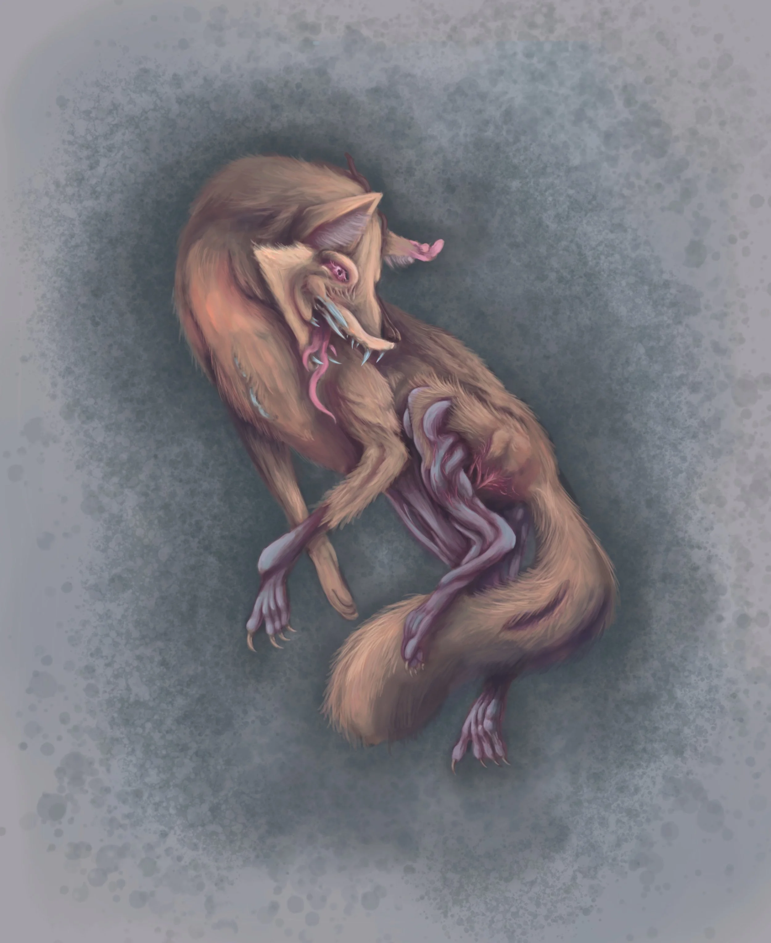 SAV_202620_ILLU328_JoseAzmitia_A4_Annihilation Coyote.jpg