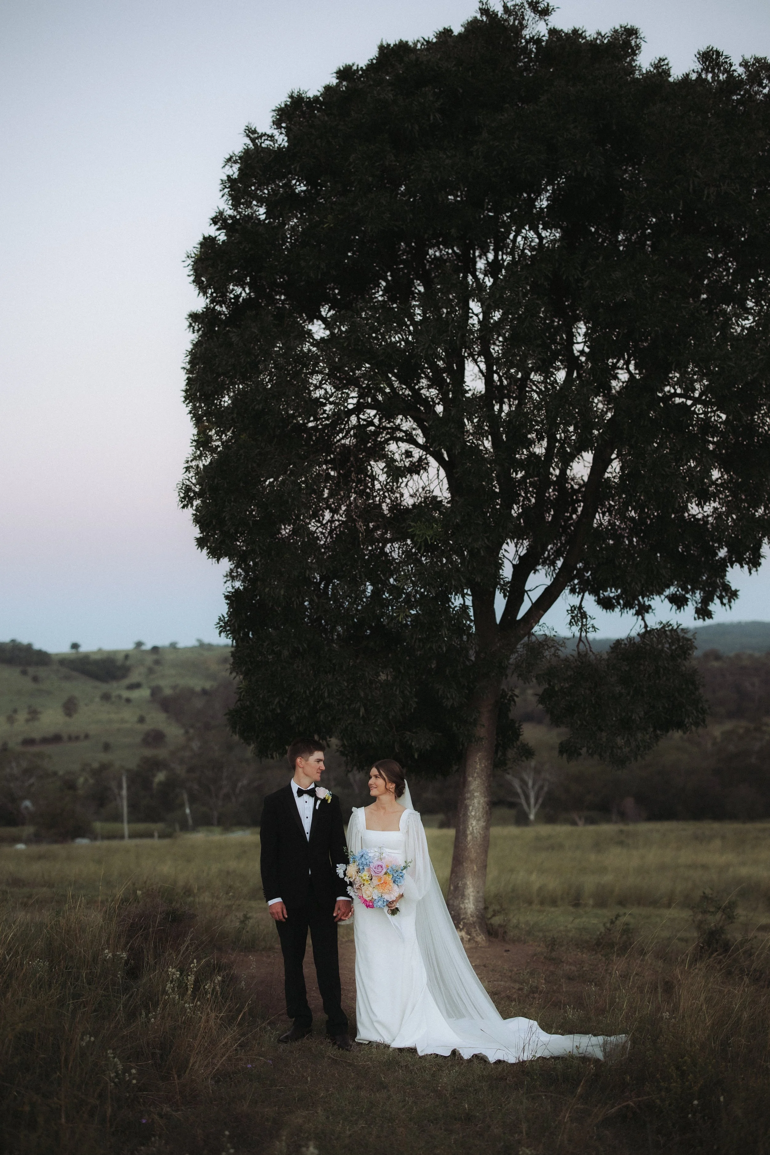 A bride and groom holding hands under a large tree, outdoors, with a scenic countryside landscape and cloudy sky in the background, during their wedding.