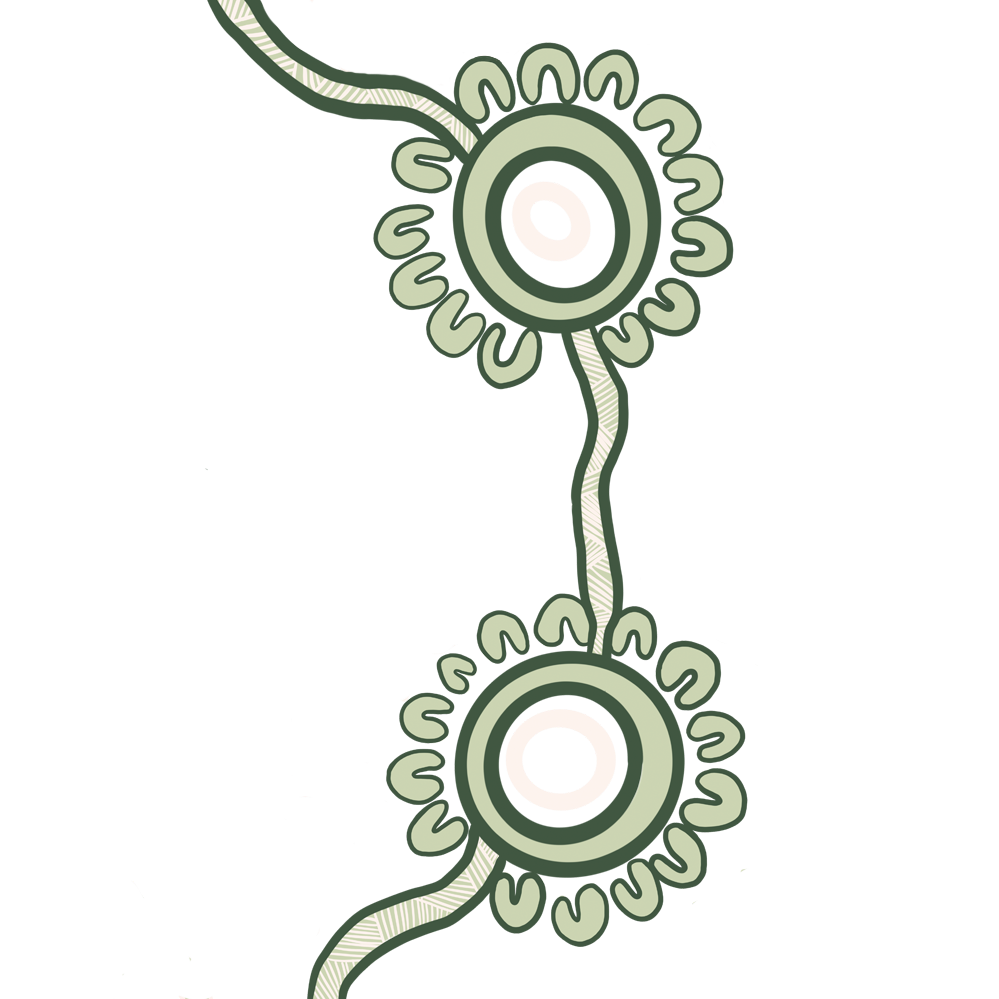A diagram of a chemical process labeled "Mycobacterial Cell Wall Formation Process" with steps including "Mycolic Acid synthesis", "Transport and Assembly", and "Cell Wall Assembly" illustrated with circular icons connected by arrows.