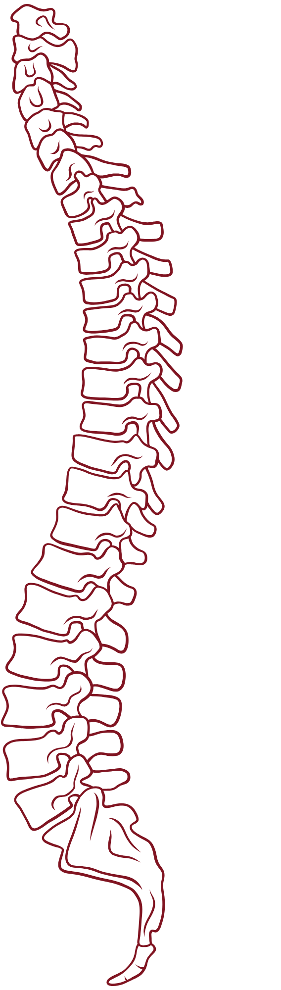 Outline drawing of a human spine in red on a black background.