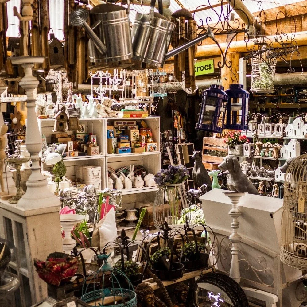 The Link Between Clutter and Pest Infestations
