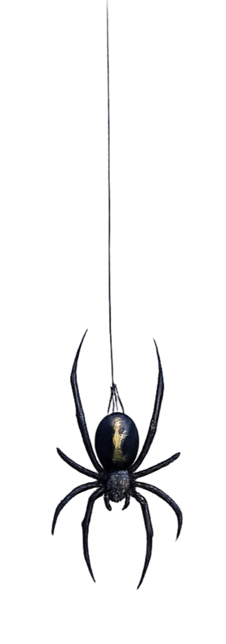 A black widow spider with a shiny black body and a red hourglass marking on its abdomen, hanging from a thin silk thread.