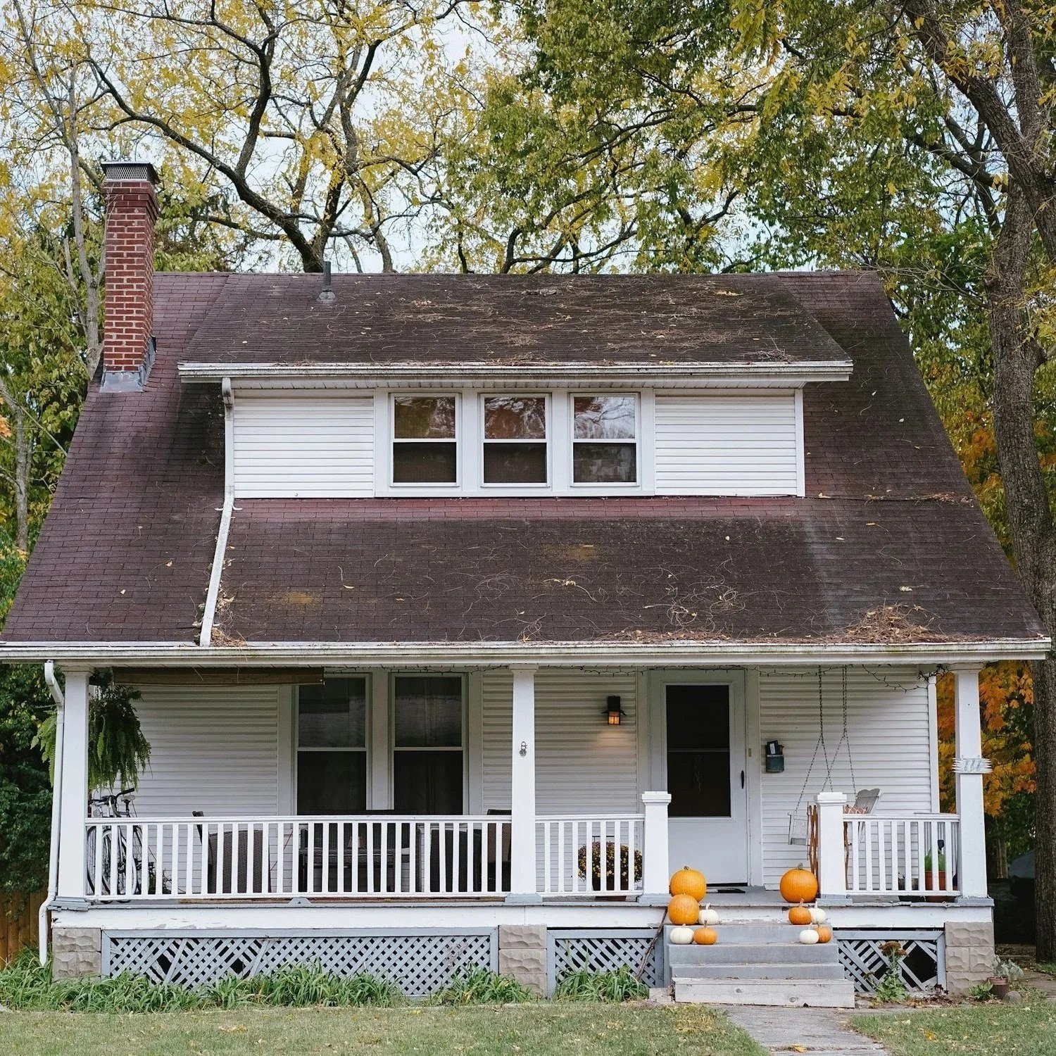 Understanding the Importance of Residential Pest Control