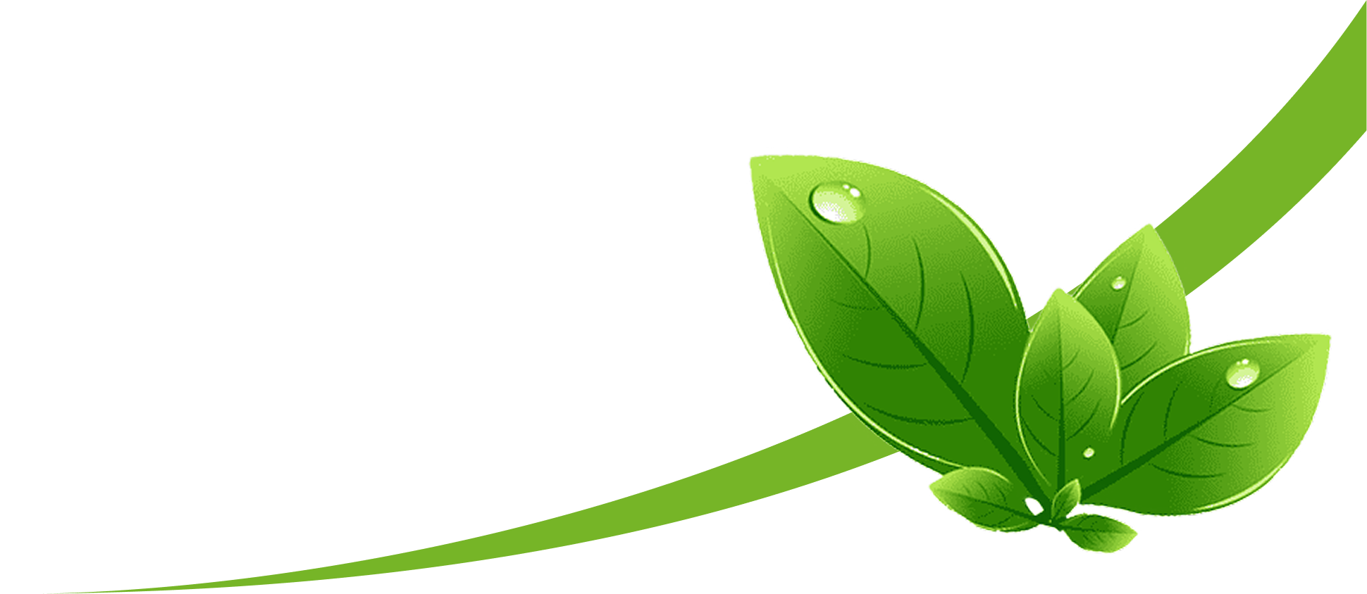 Green leaves with water droplets and green curved shapes on a white background.