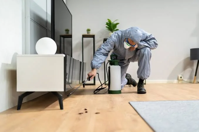 A person in protective gear using a spray device to treat a small pest or insect on a wooden floor near a modern TV stand and decor, in a living room.
