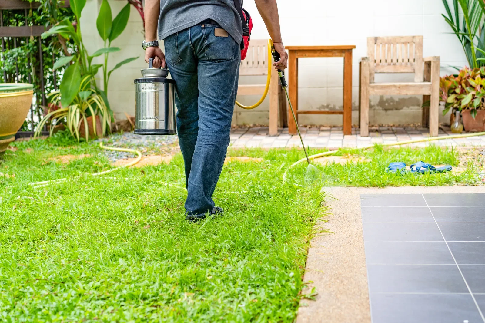 A person in jeans and a gray shirt uses a garden sprayer to apply a liquid to the grass in a backyard.