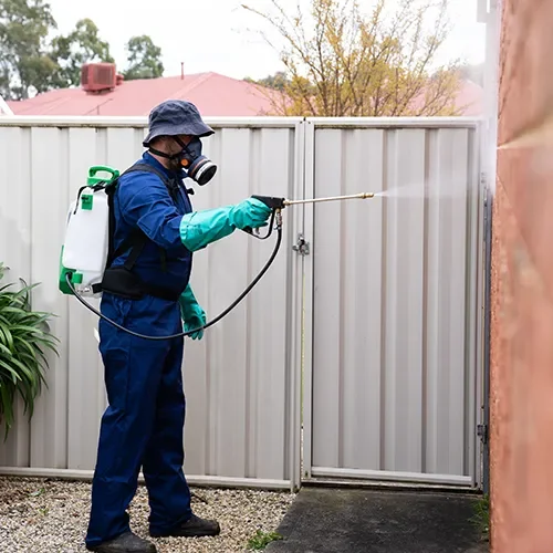Person wearing safety gear uses a sprayer to disinfect a gate in a backyard.