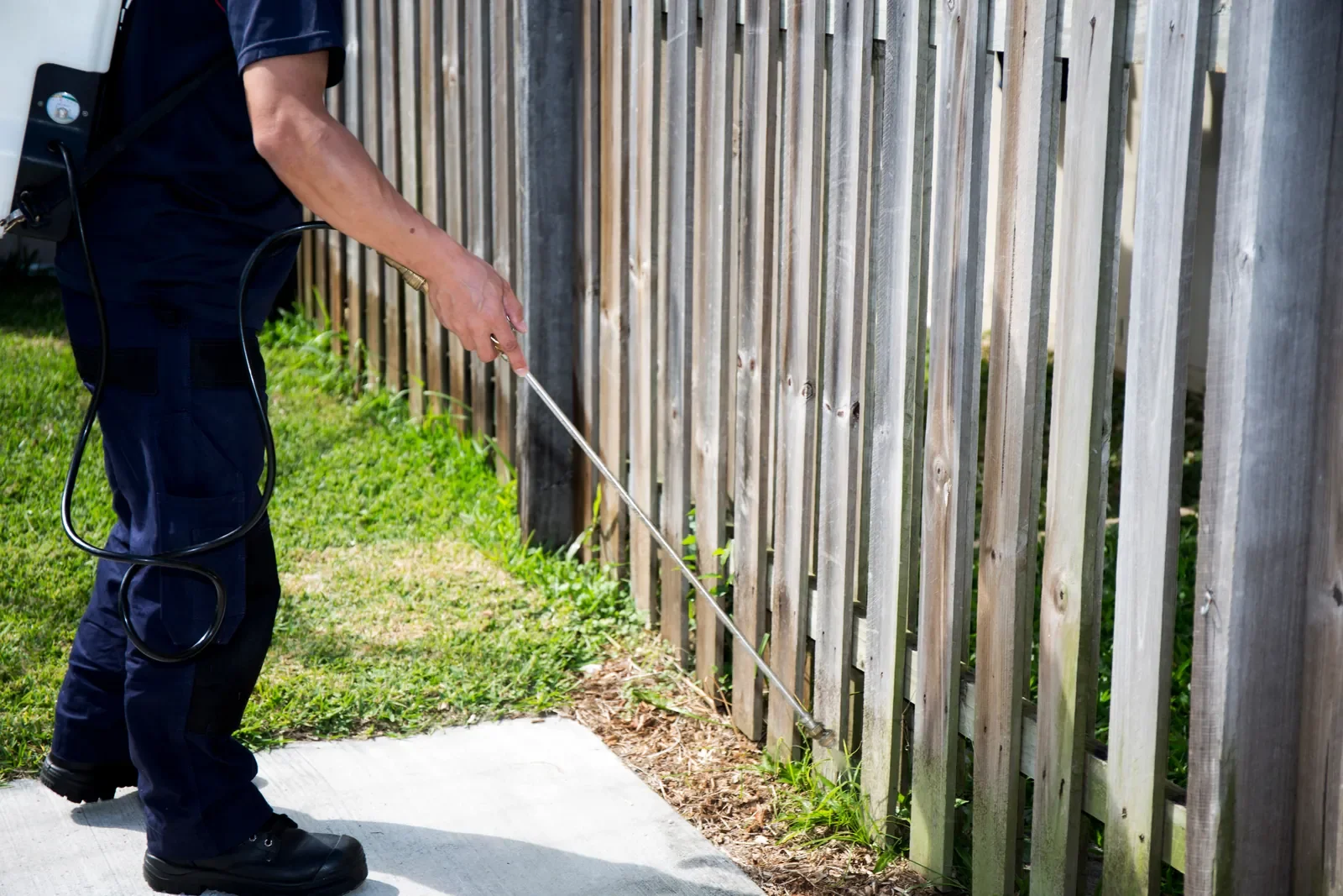 Person using a handheld device to spray pesticide or herbicide along a wooden fence.