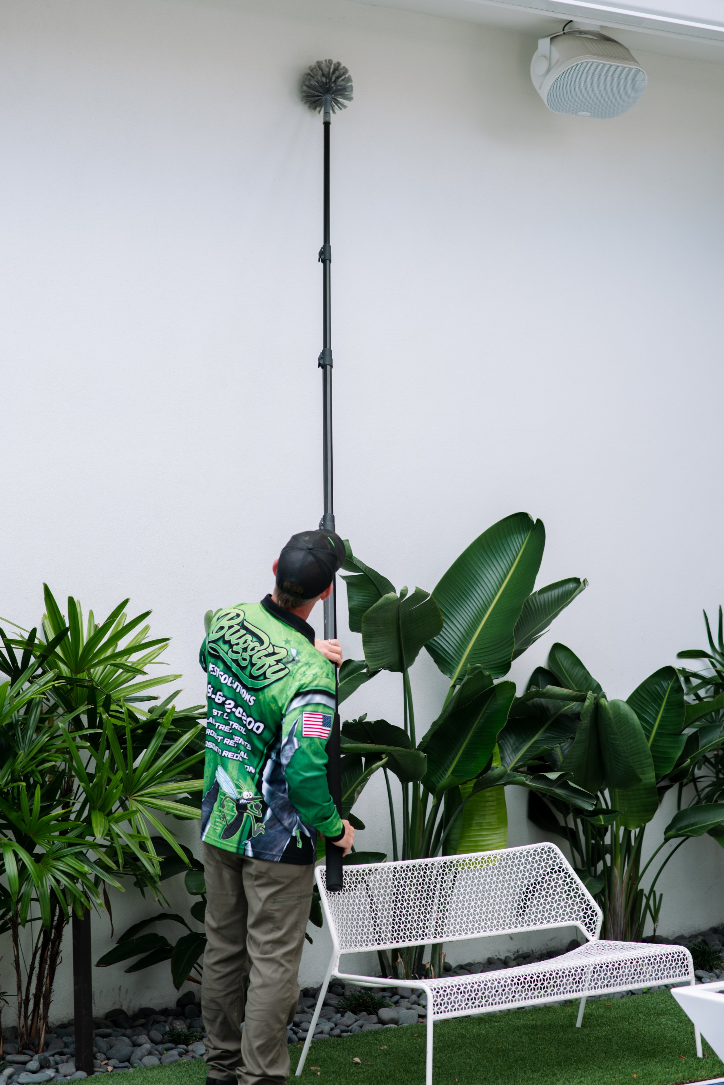 Spider Control Boca Raton | Brown Widow Exclusion — Buggify Pest Solutions